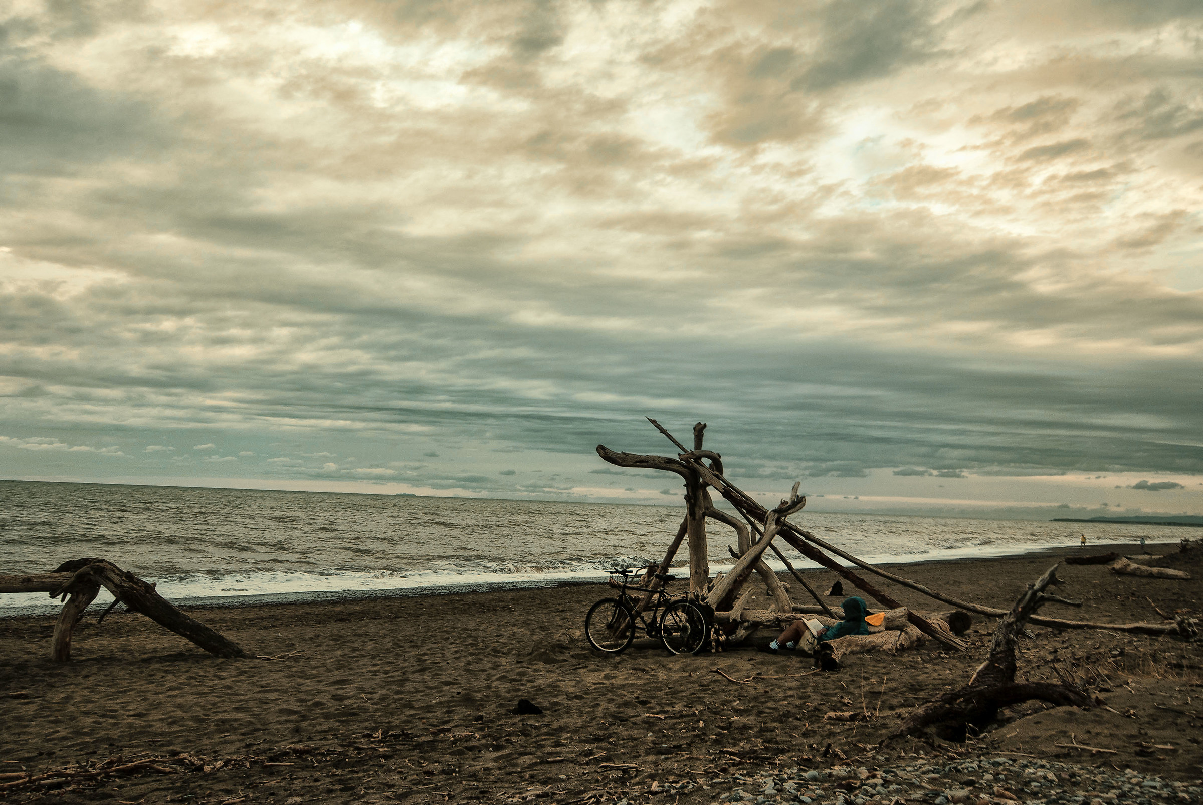 Maybe I wait next summer ....