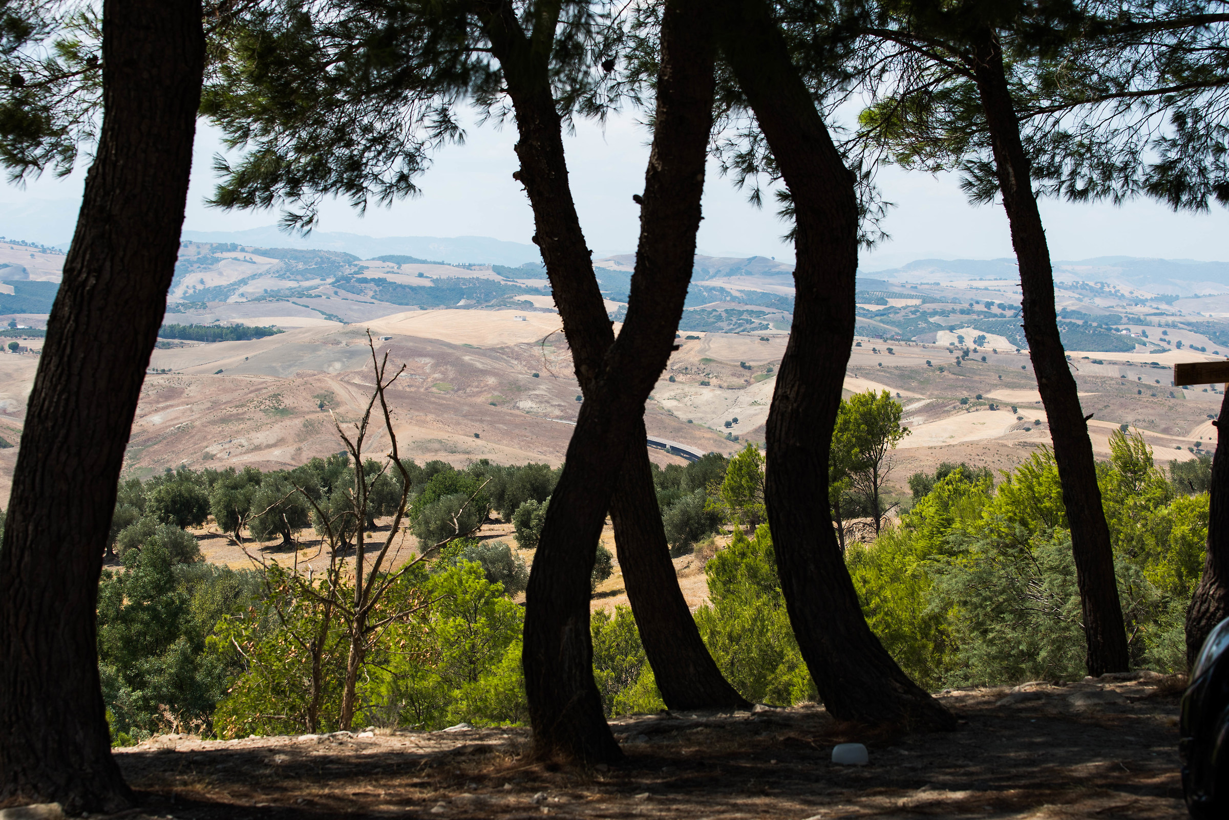 Controluce e campagna