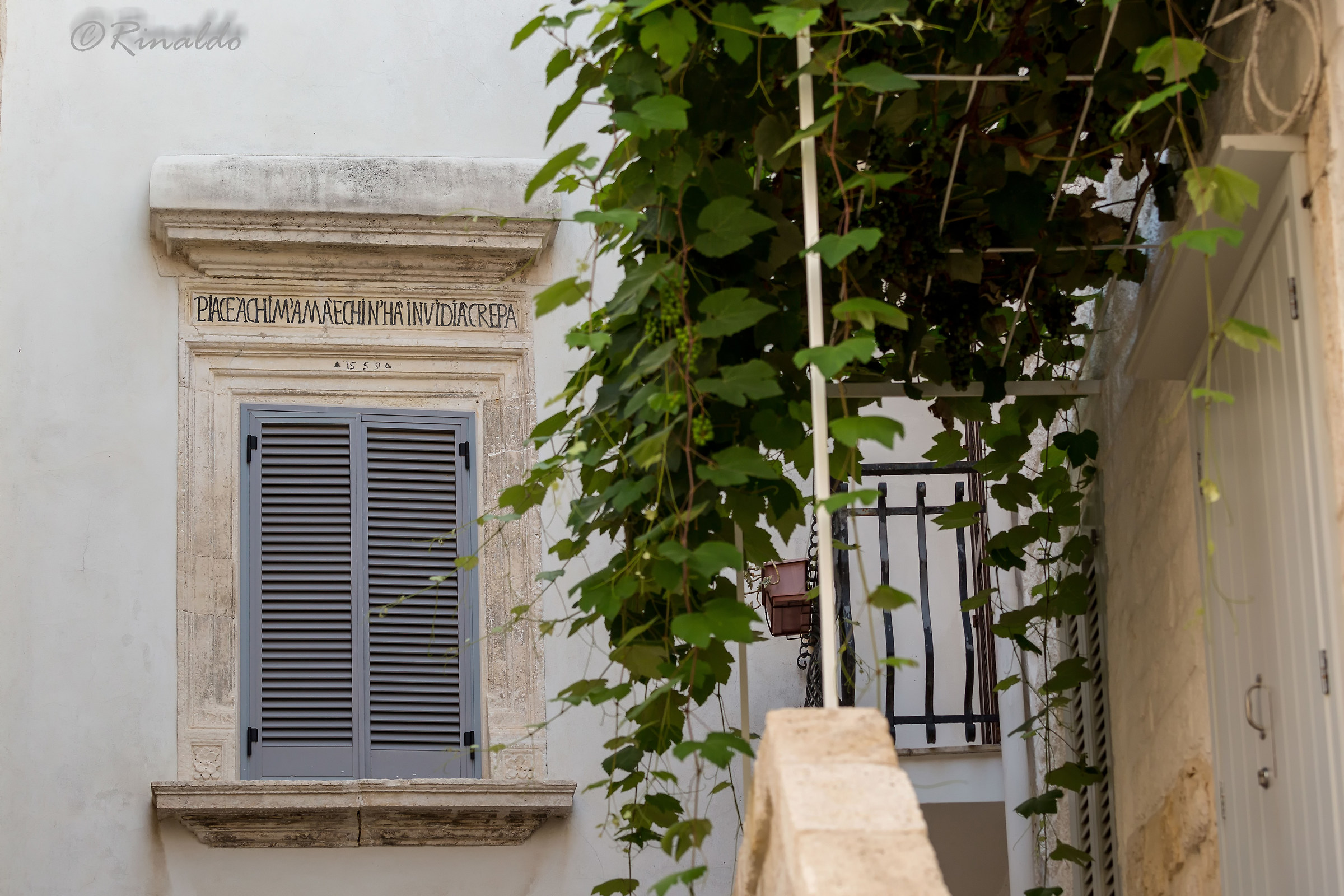 Piace a chi m'ama e chi n'ha invidia crepa