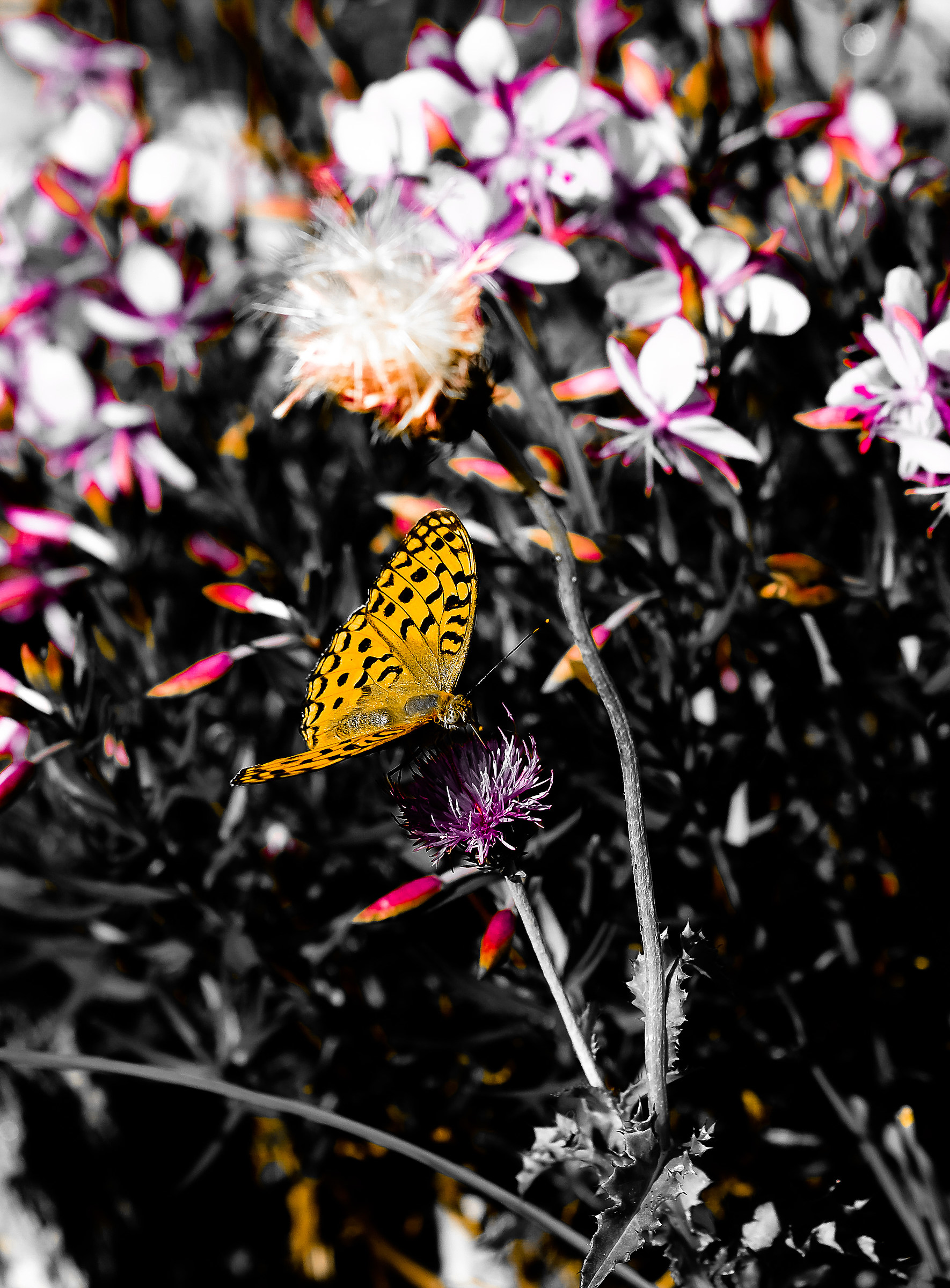 Playing with the colors