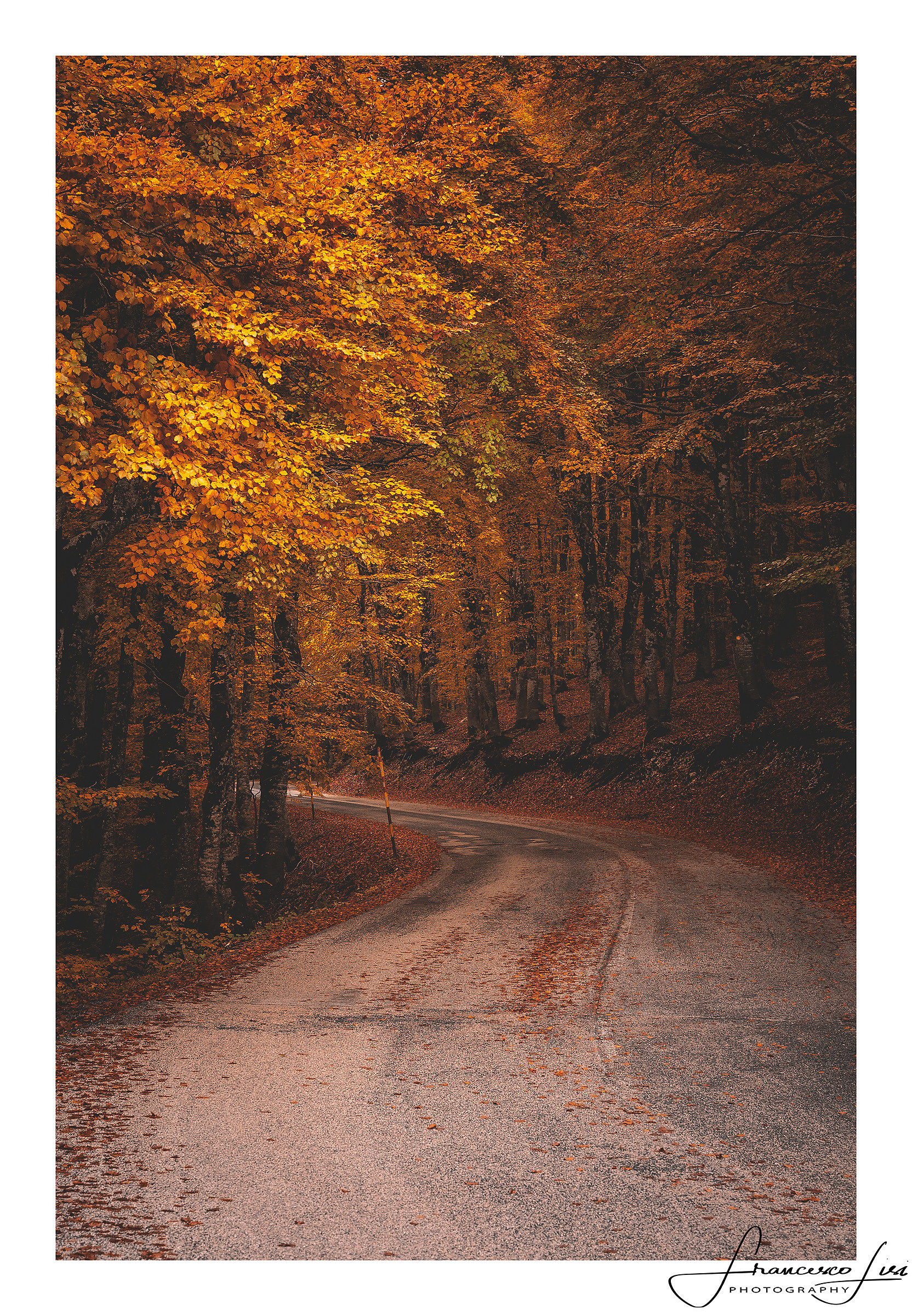 "Impression of autumn"