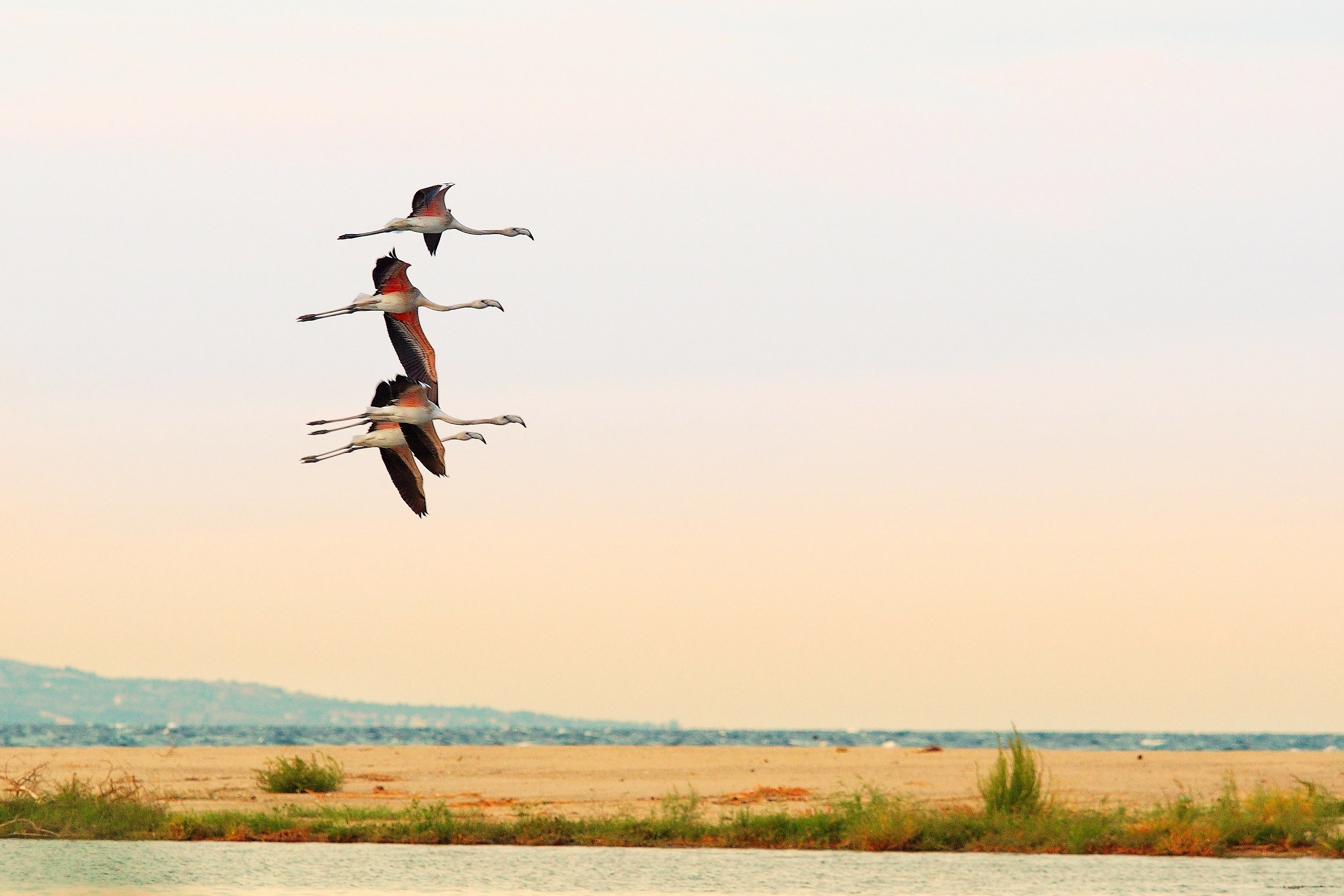 La bellezza è attorno a noi...