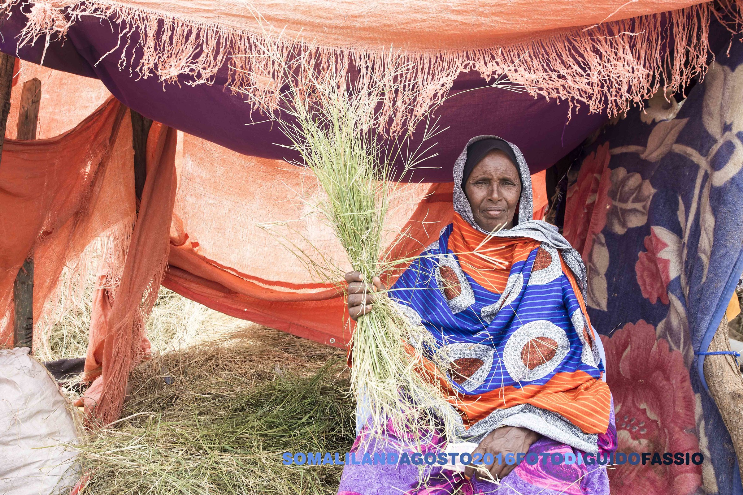 Woman, Hargheisa cattle market