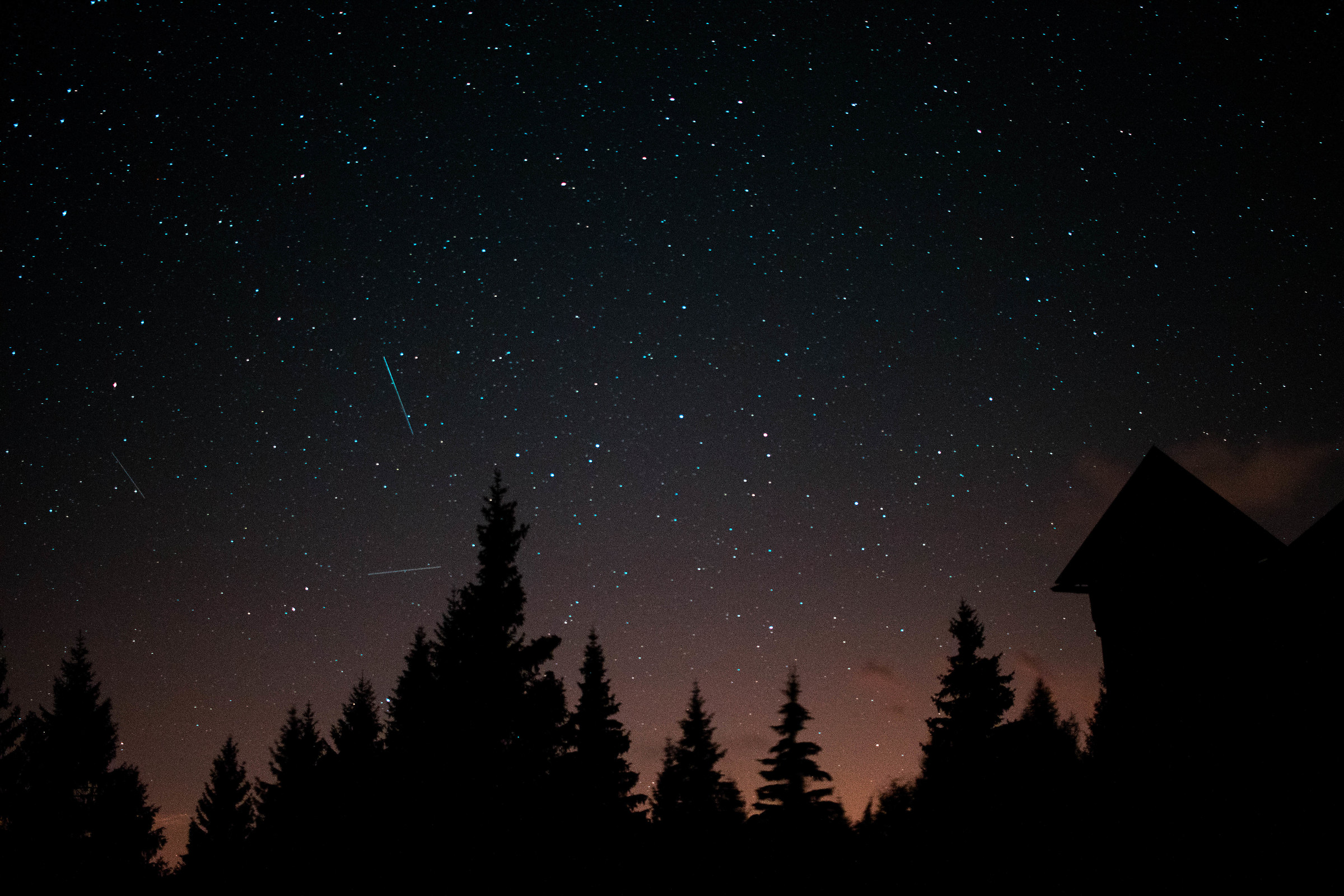 The night looking for light