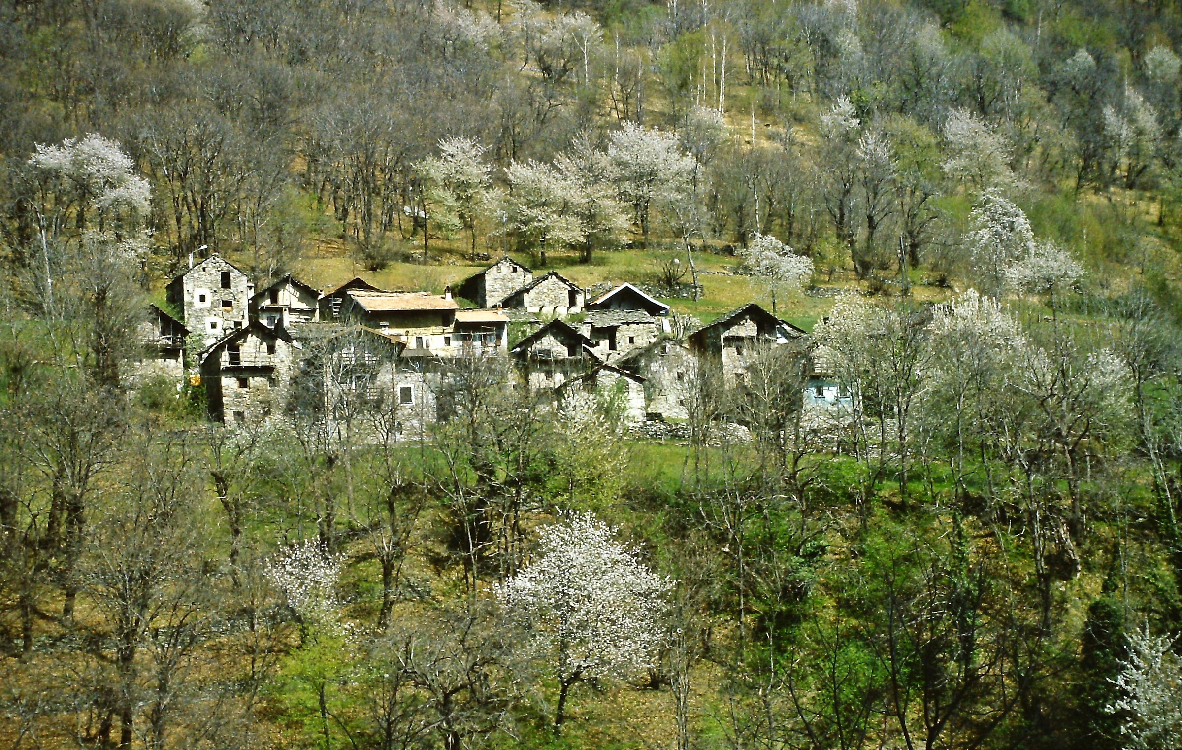 405 - i nidi dell'uomo - SO Val Bregaglia