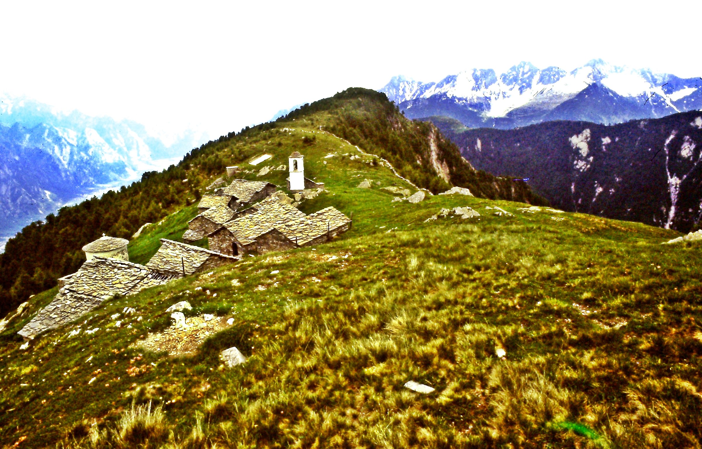 408 - la più serafica Alpe delle Alpi - SO A.Scima