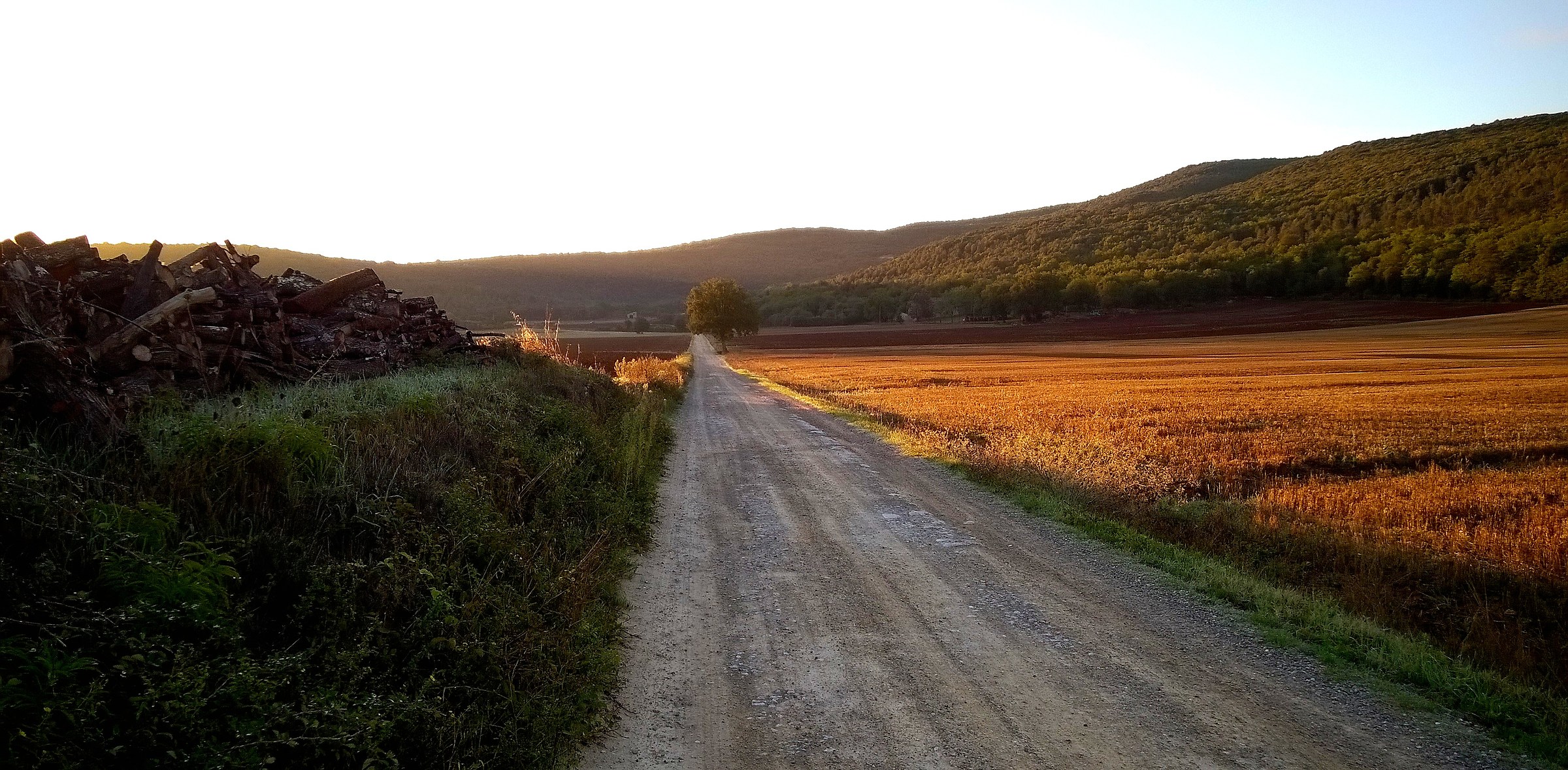 leaving Abbadia Island