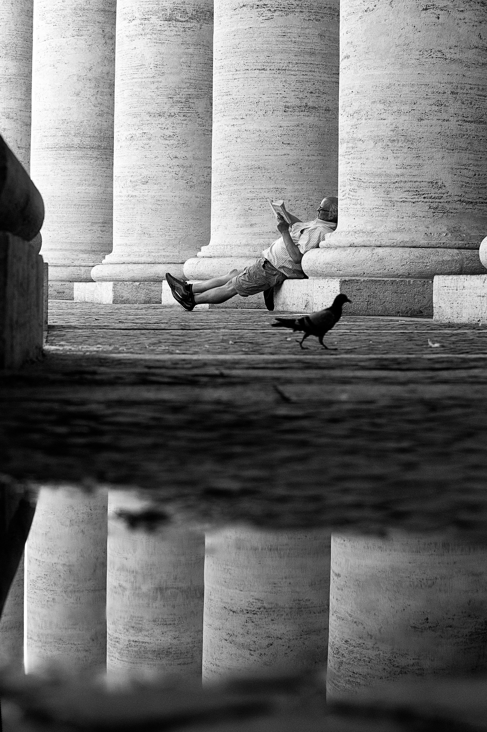 in quest of peace. Roma, August, 2017.