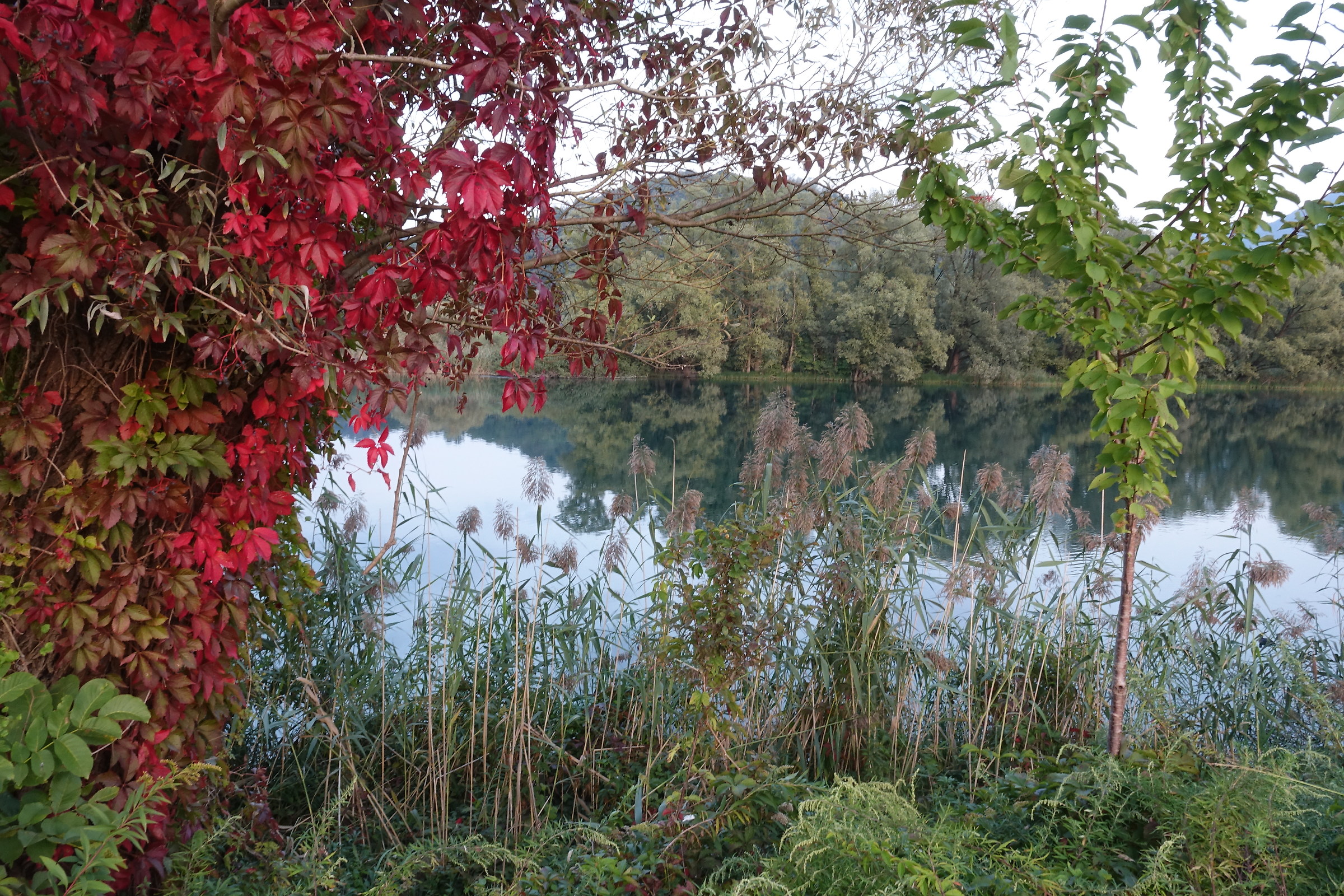 Adda, early autumn colors