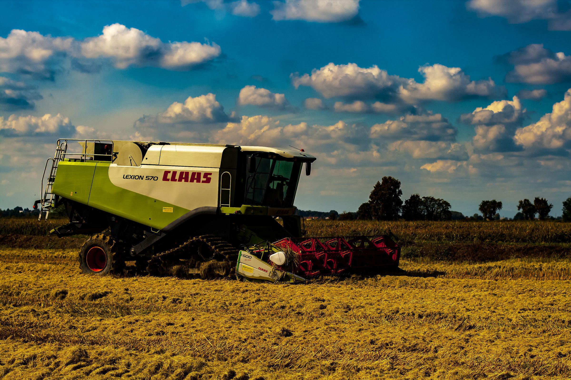 Il mostro mangia riso