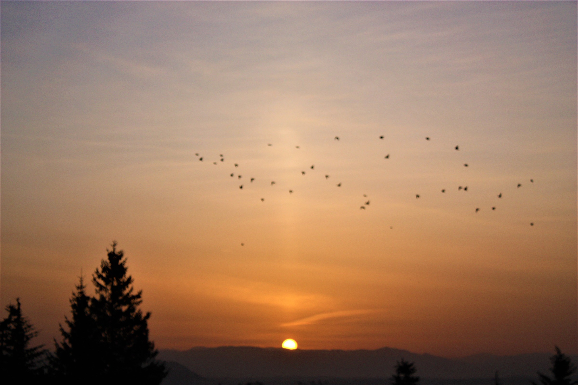 Alba con colonna solare e stormo Monti Cimini