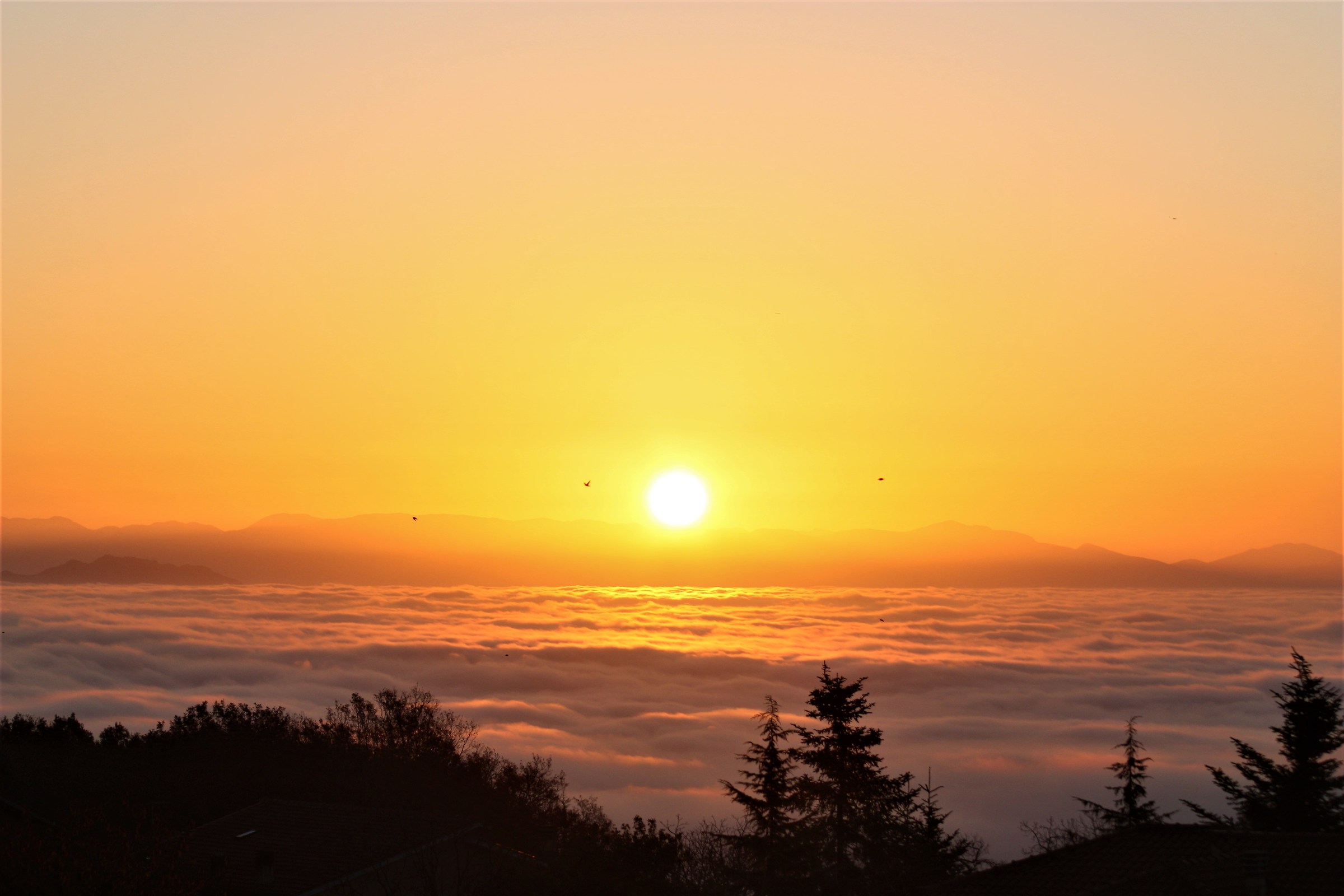 Lago di Vico. Alba sopra le nuvole