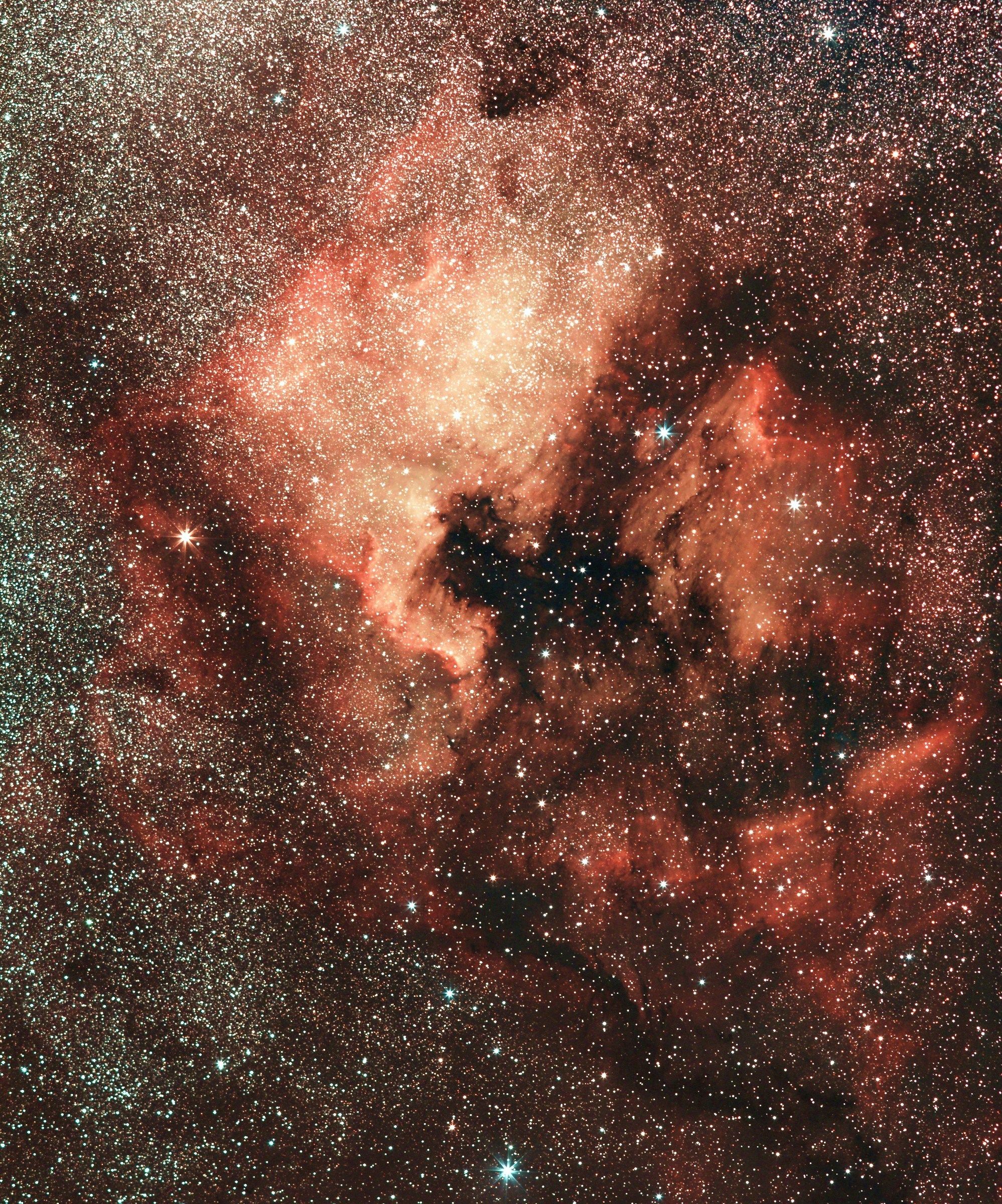 Nord America e Pellicano