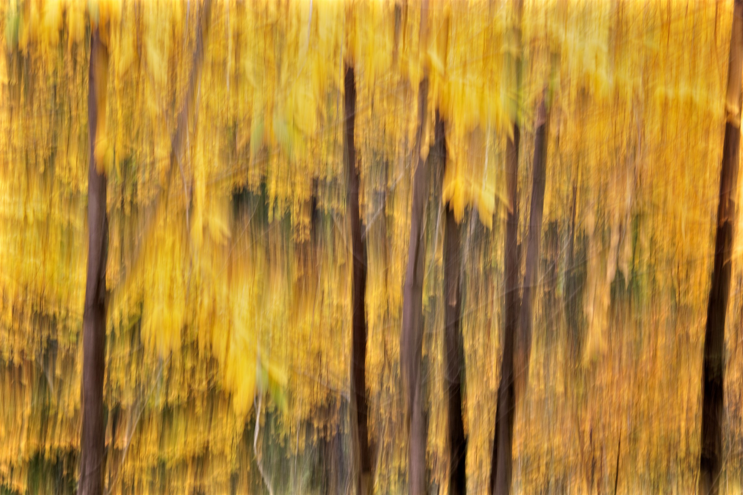 Impressioni d'autunno