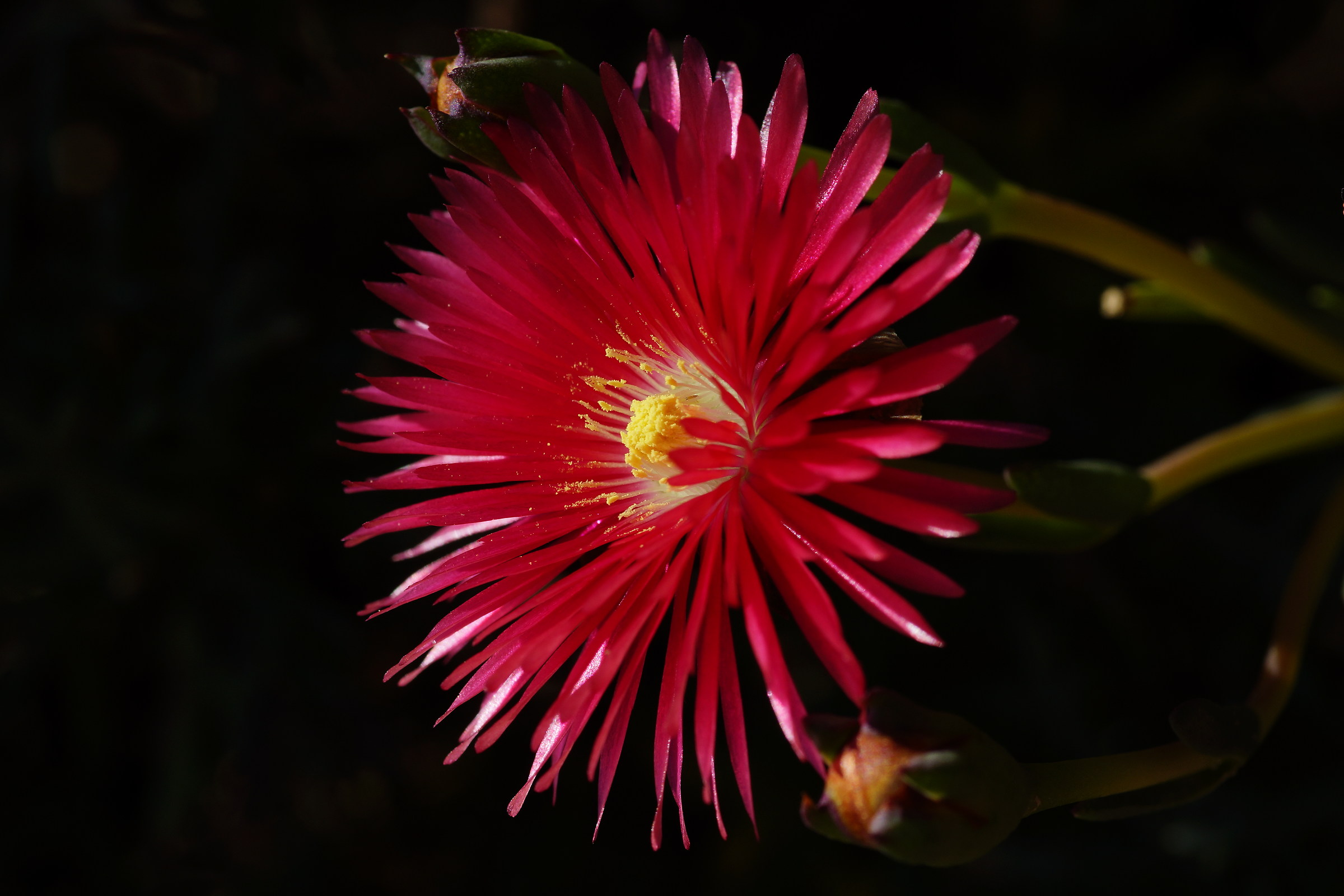 How beautiful is the sun, without letting myself go