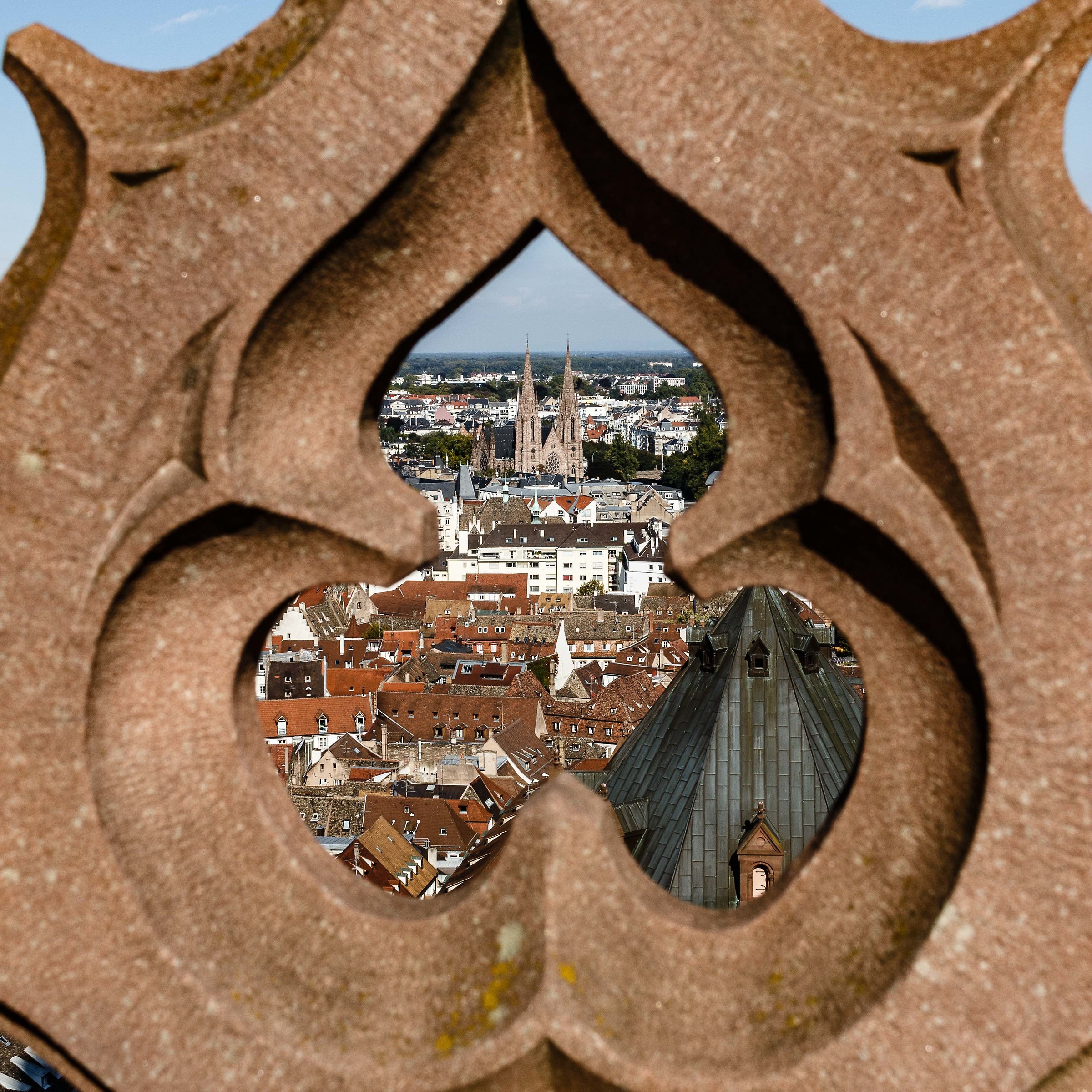 From Notre Dame de Strasbourg