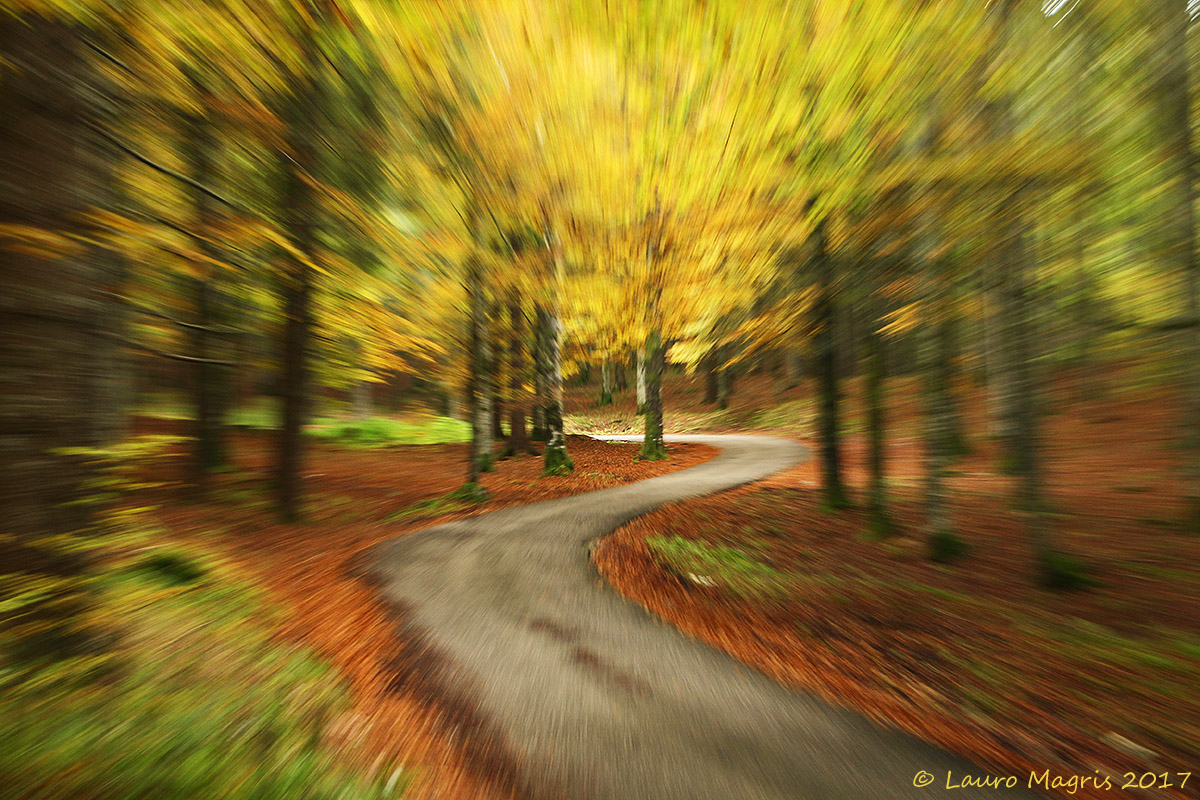 Color Tunnel (zooming)