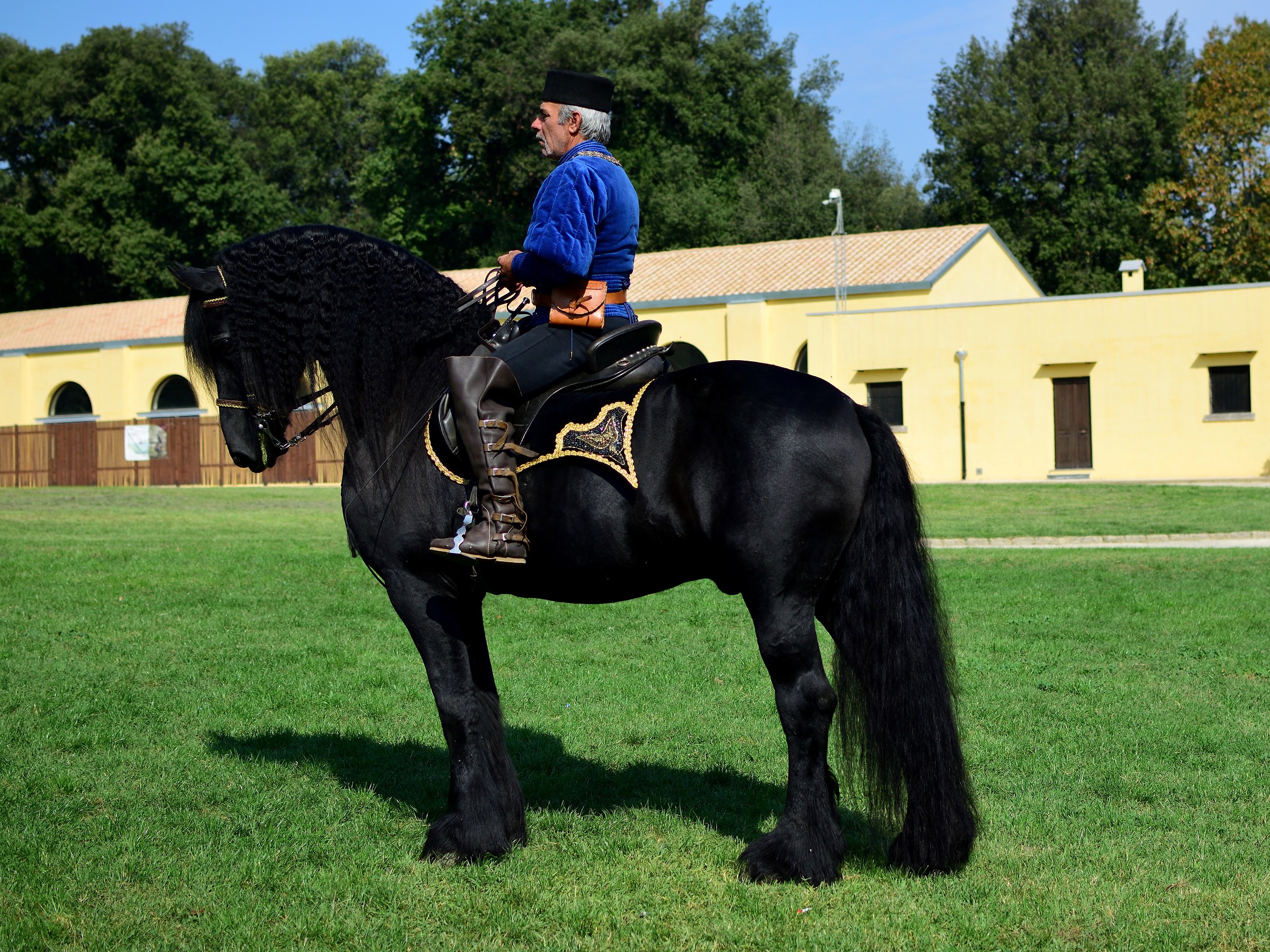Il cavallo di Raoul, ReNero