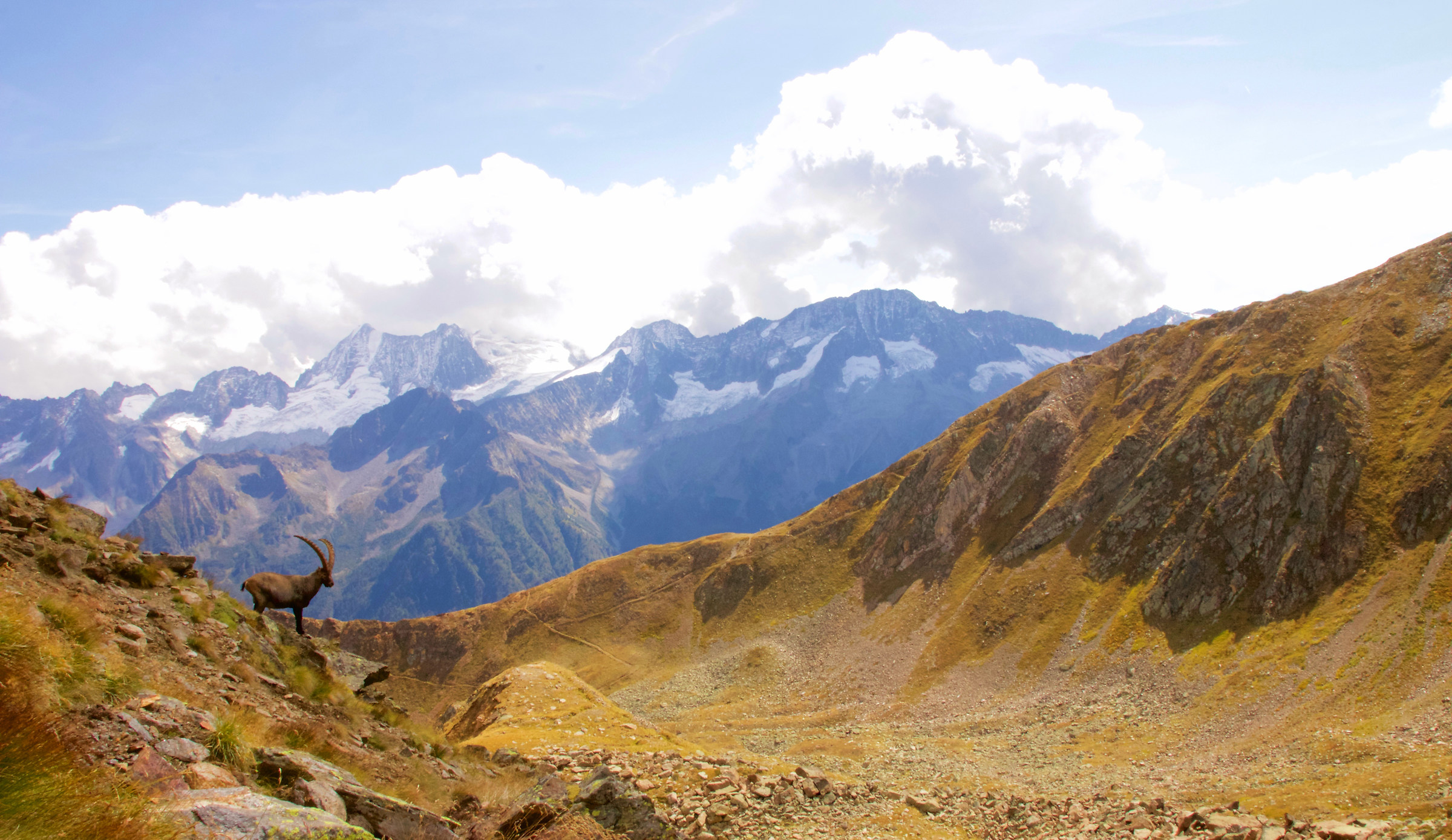 The King of the Mountains