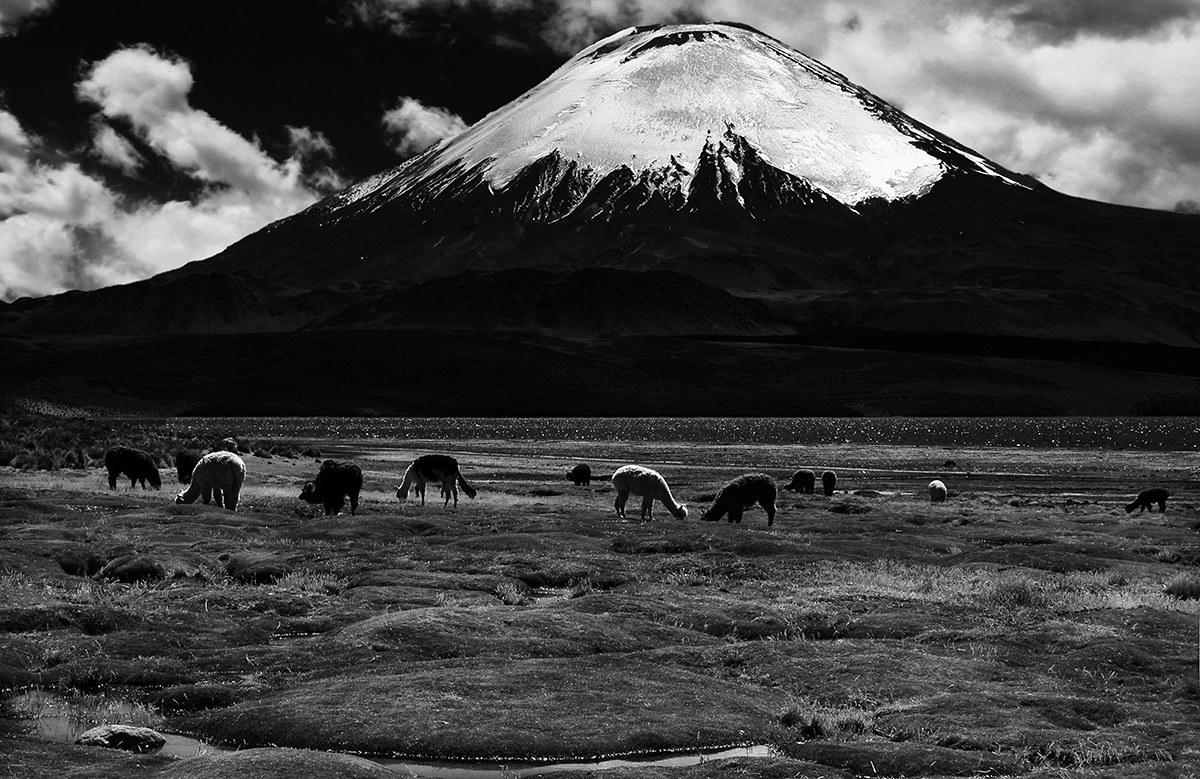 Cerro Parinacota