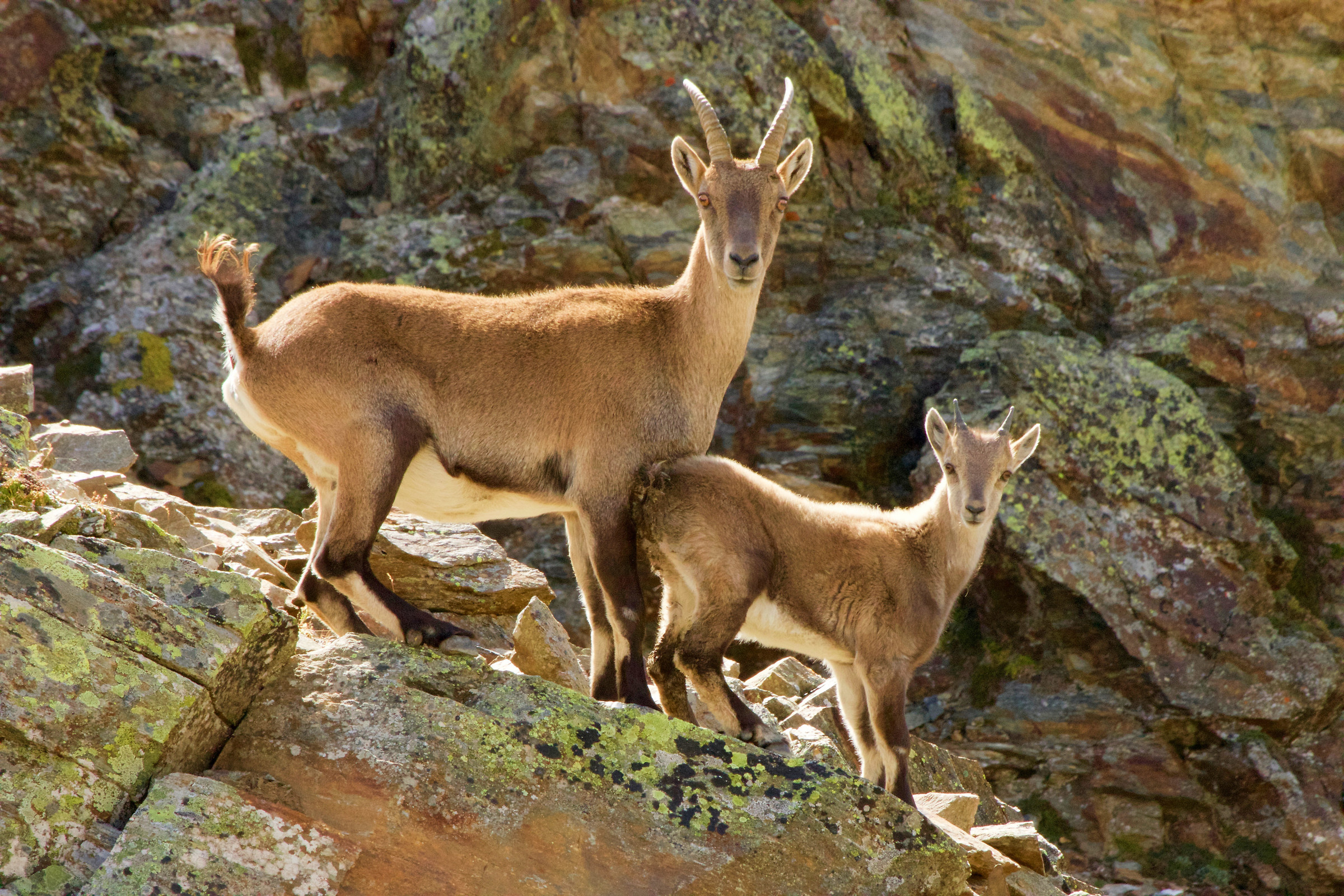 Mom with the little one