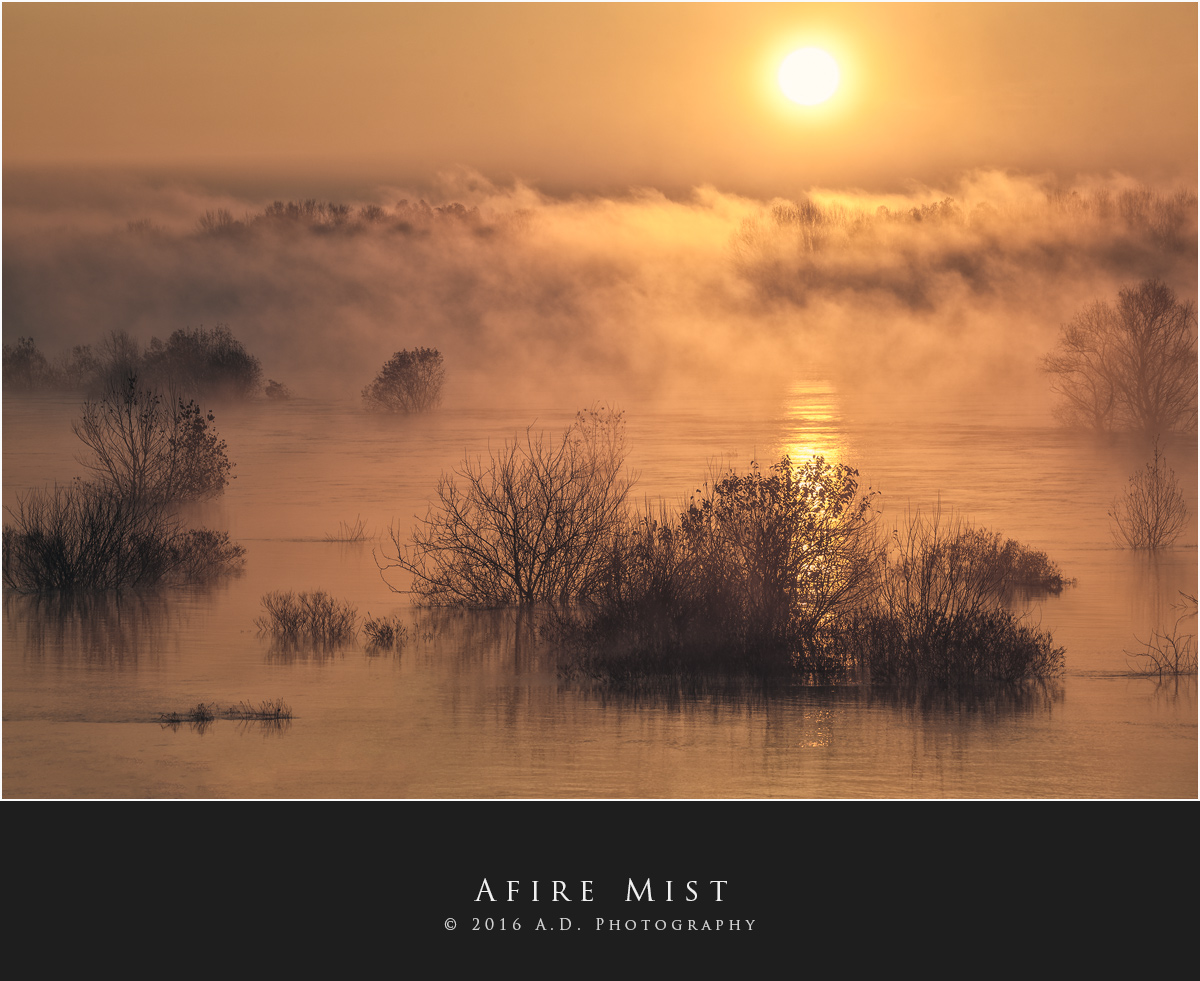 Afire Mist