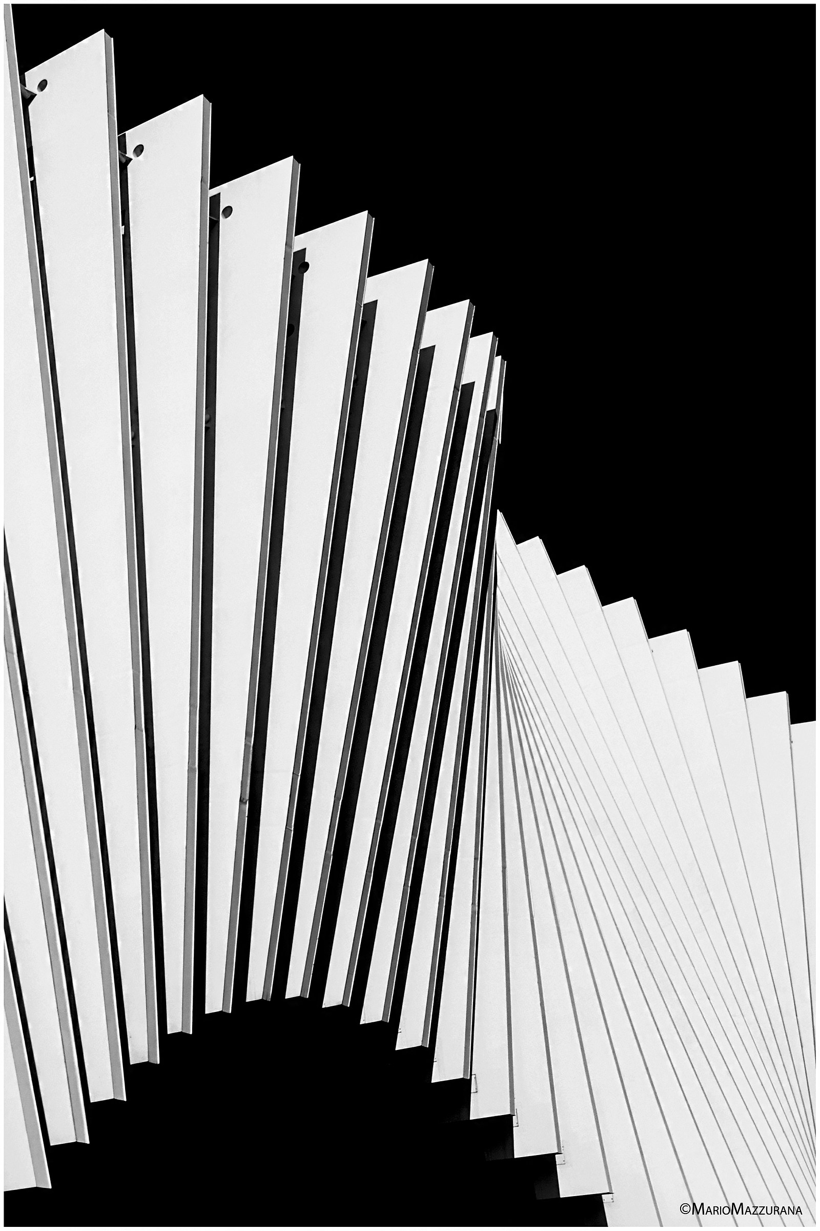Calatrava..."Ventaglio"  b/n