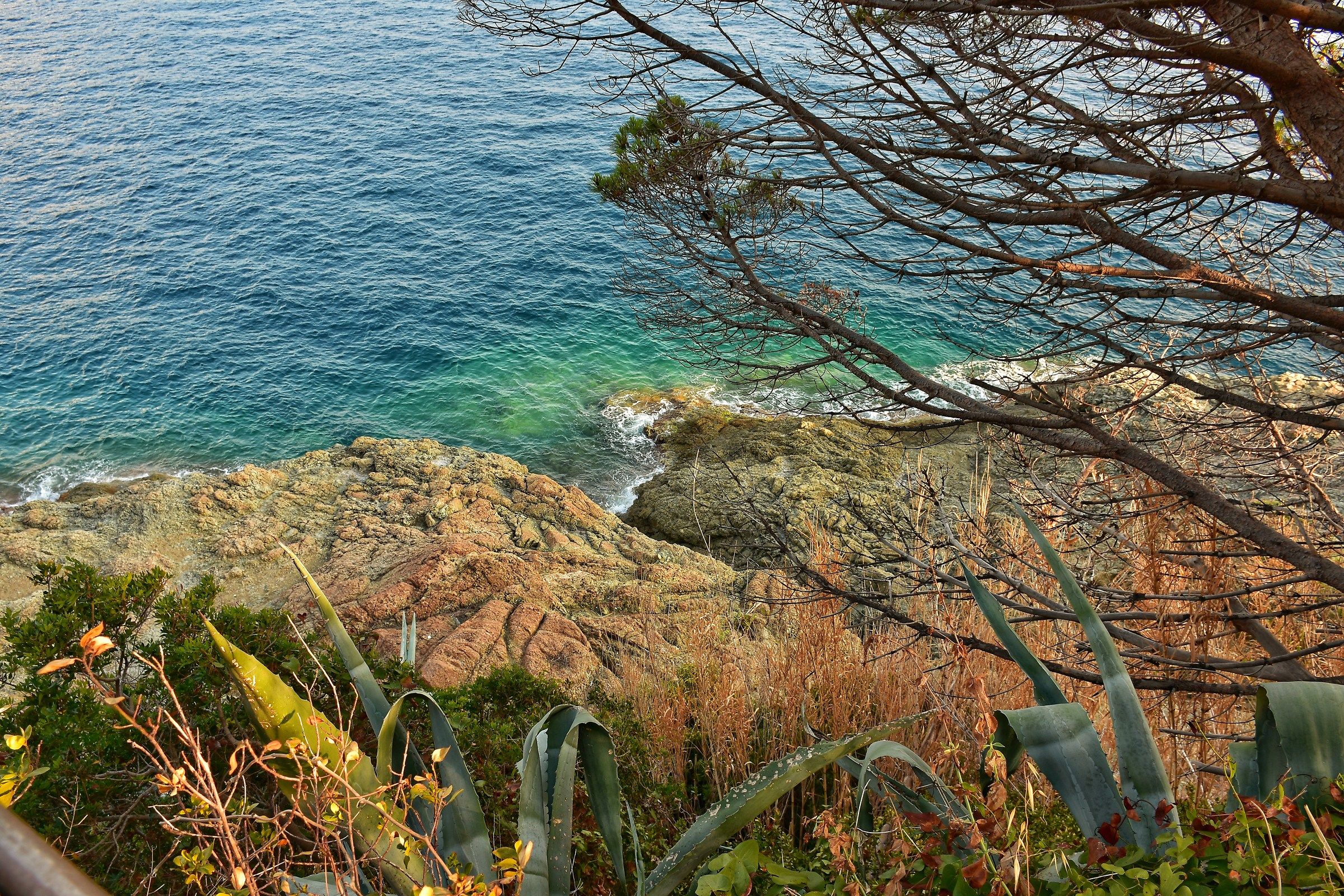 Costa tra Bonassola e Madonna della Punta