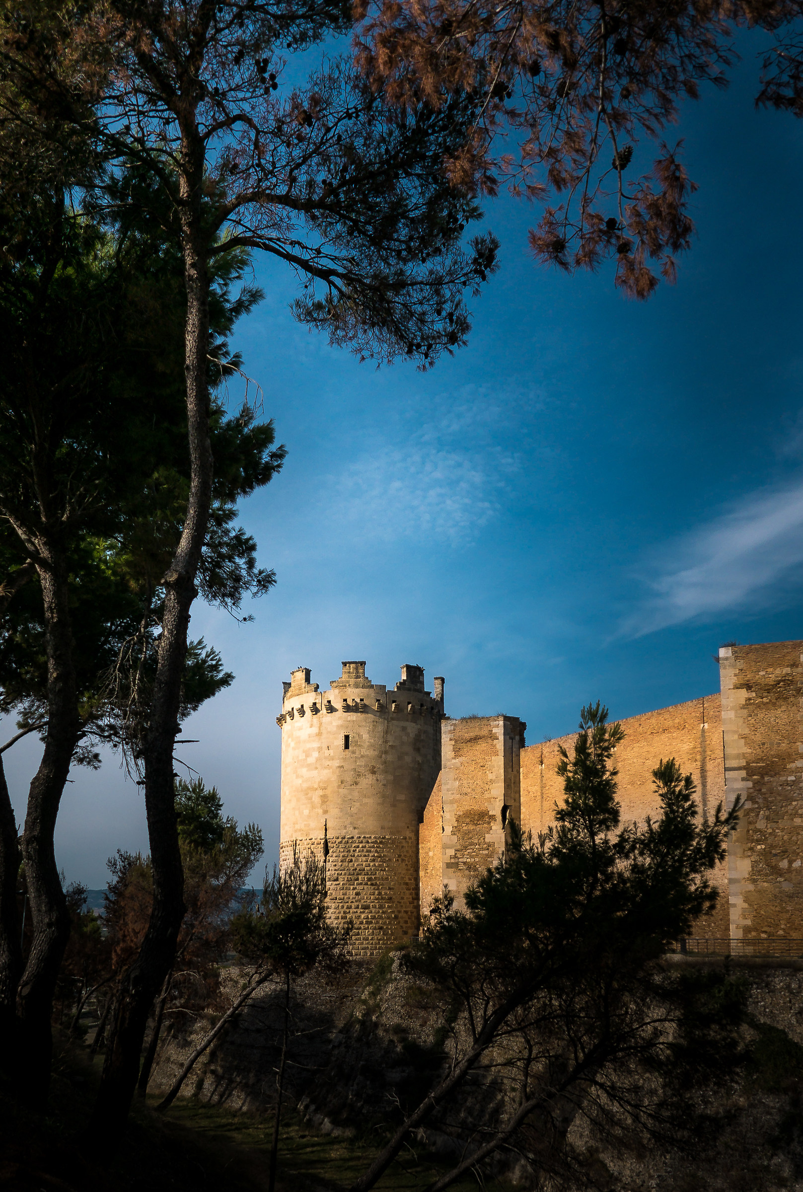 Fortezza svevo-angioina