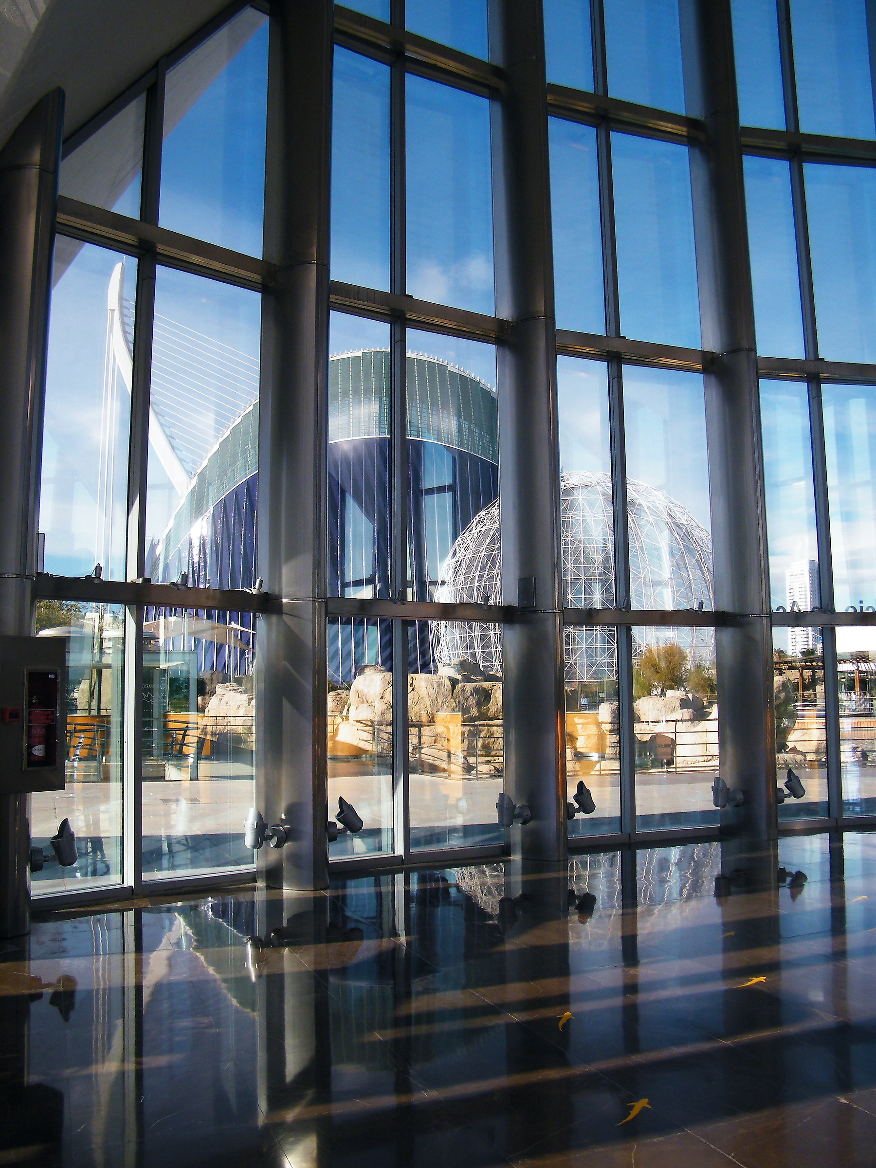 Dall'interno della vetrata dell'oceanografico