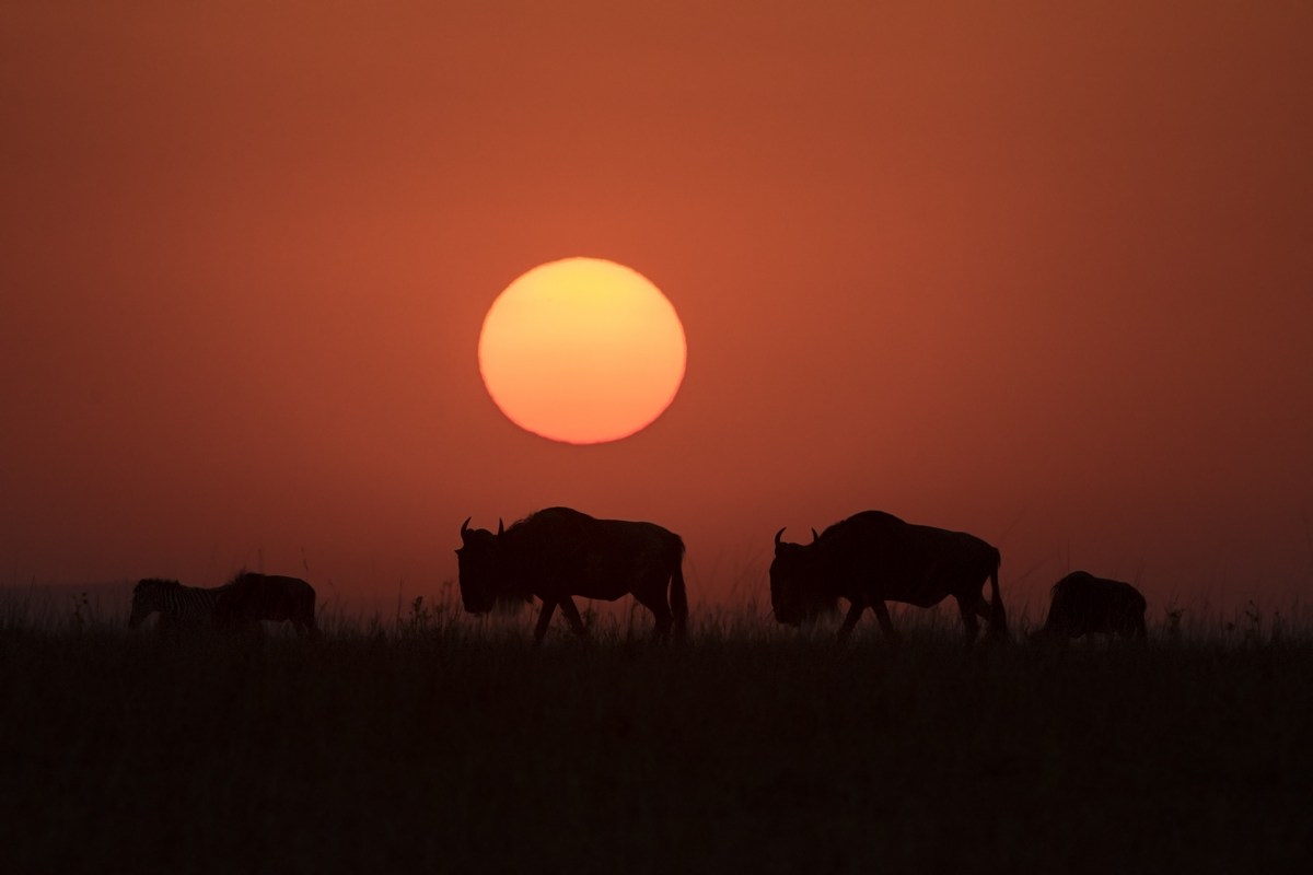 The spirit of Africa