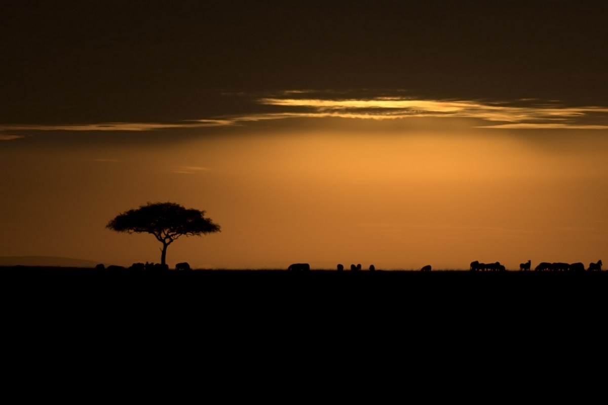 The spirit of Africa