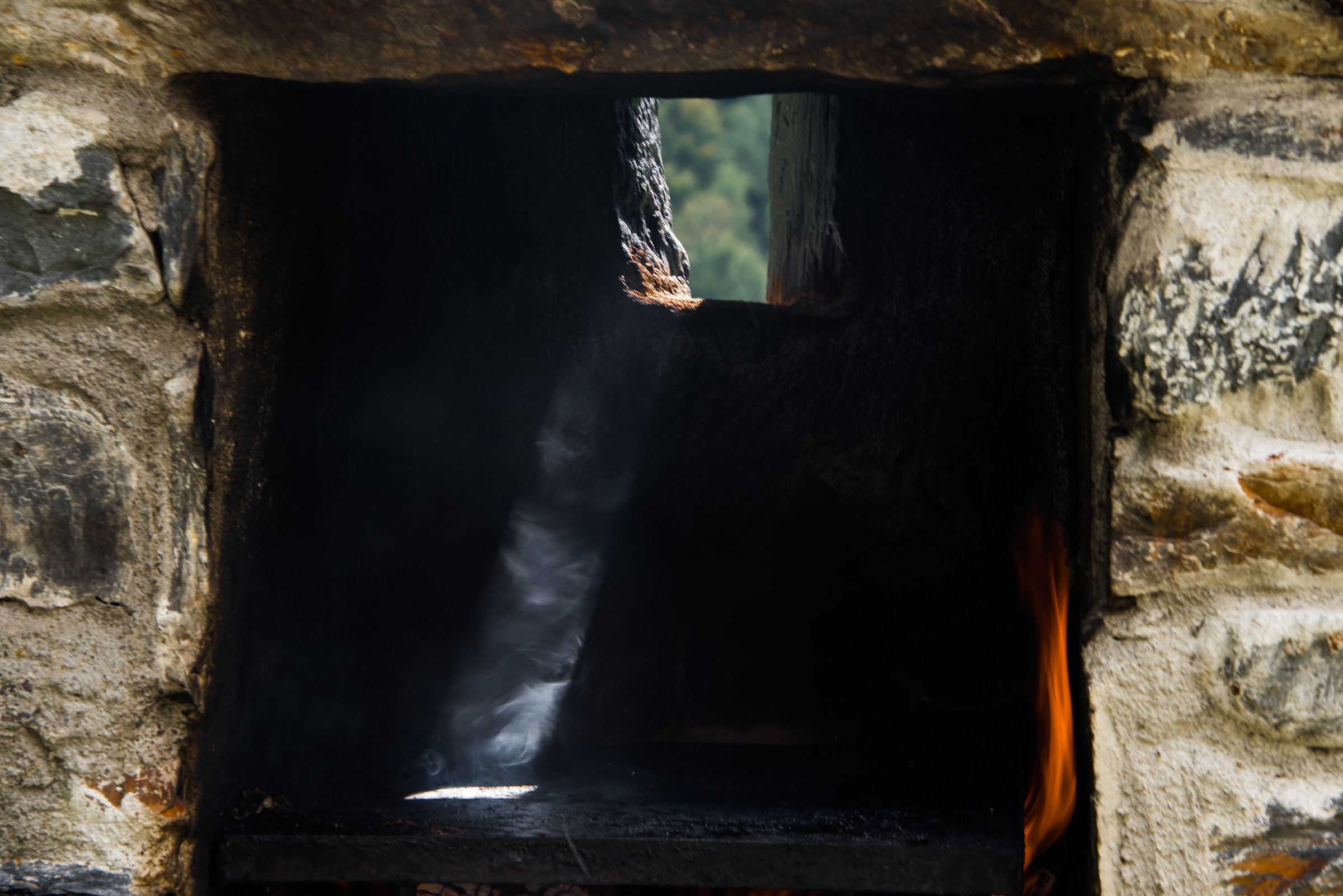 quella ferita (tetes de bois)