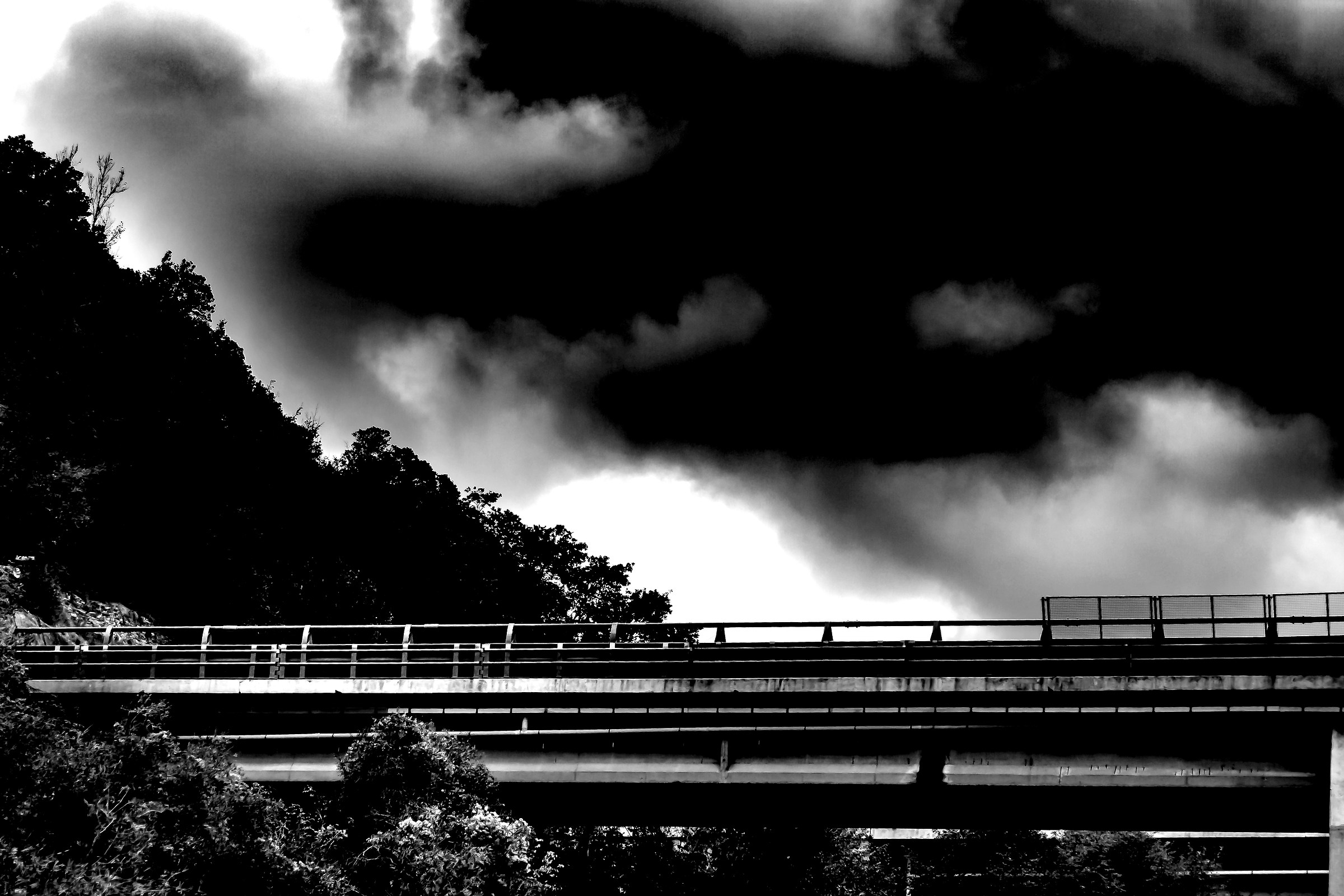 L'aquila incombe sul viadotto