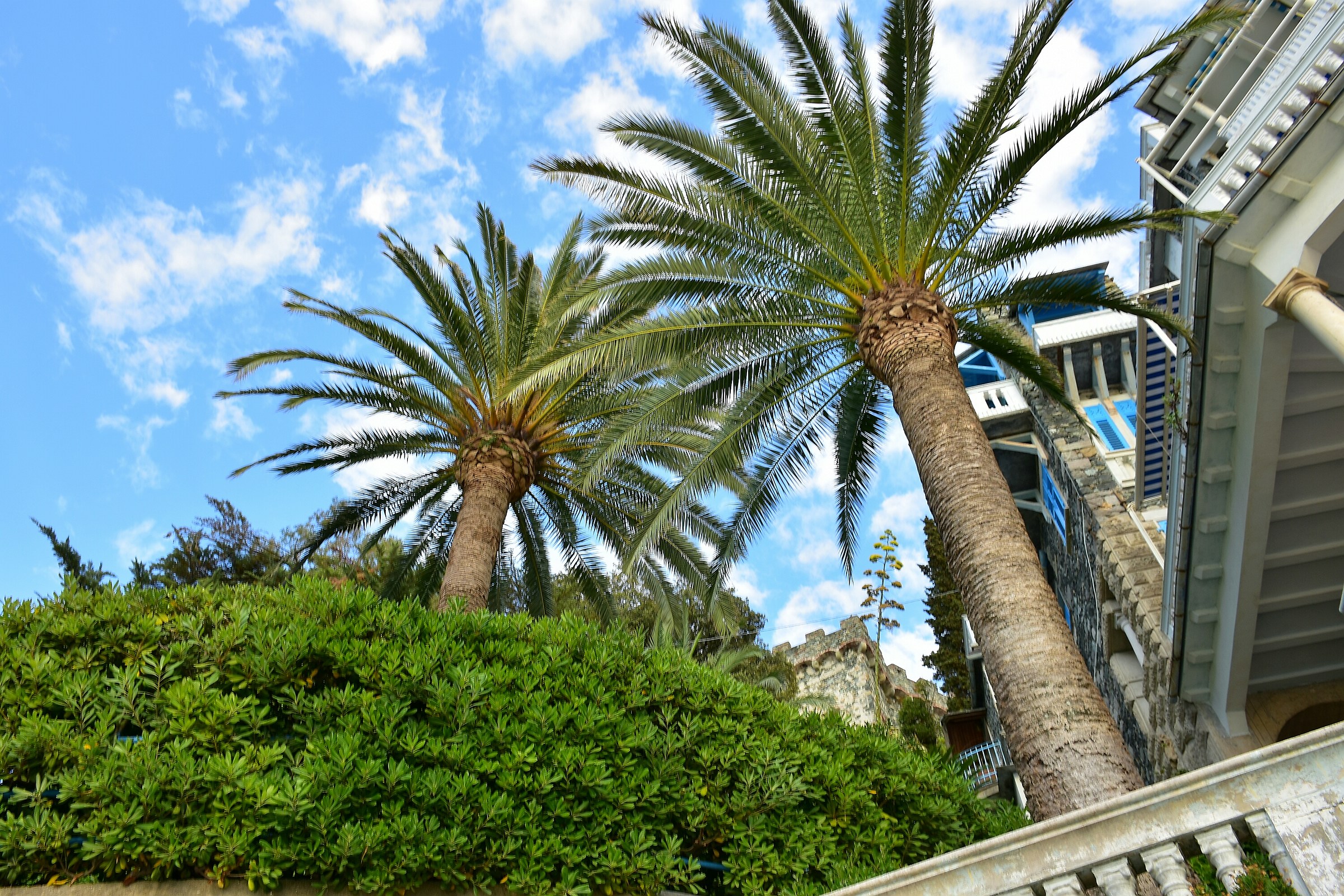 A bit of Florida in Levanto