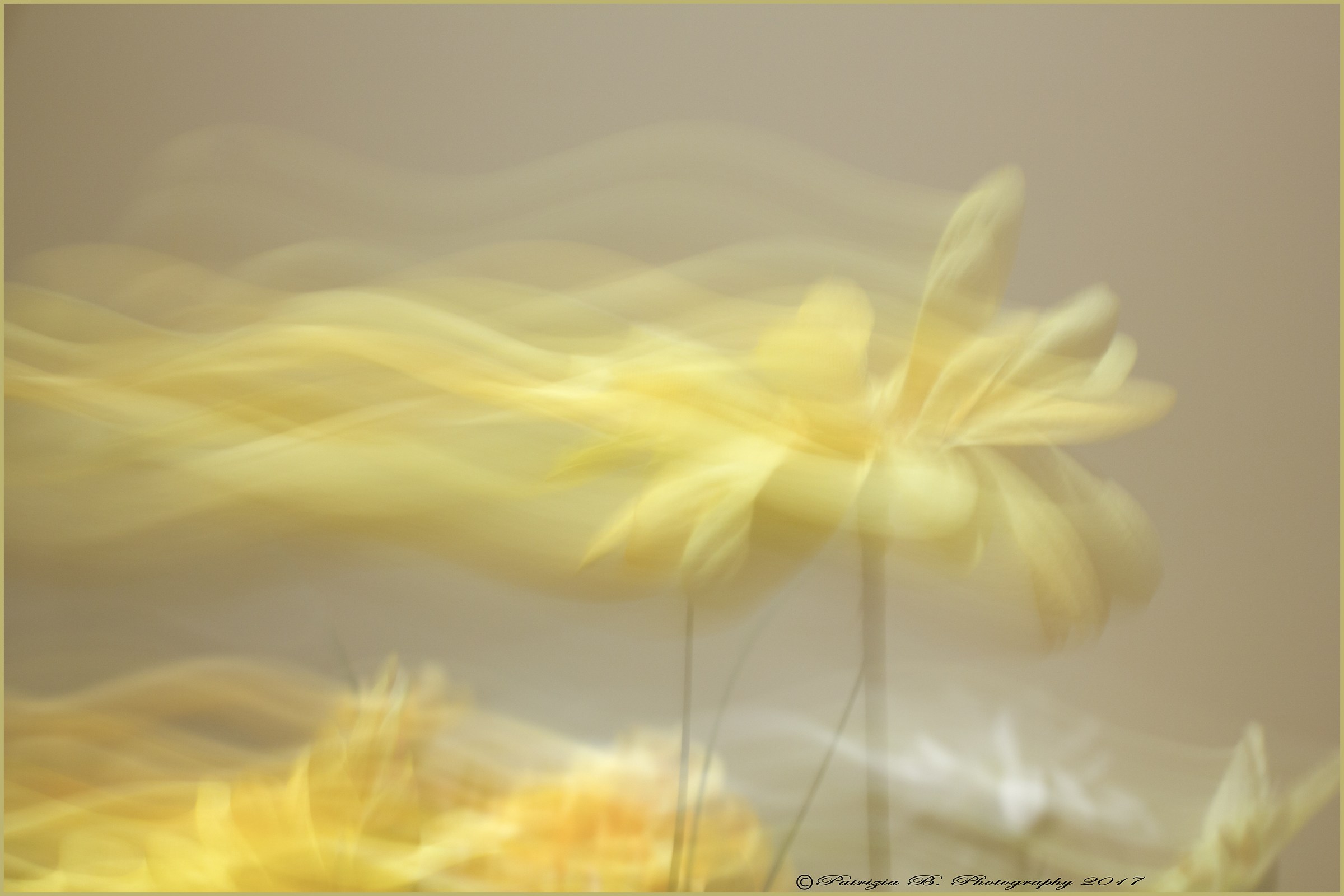 Dancing with the sun ..