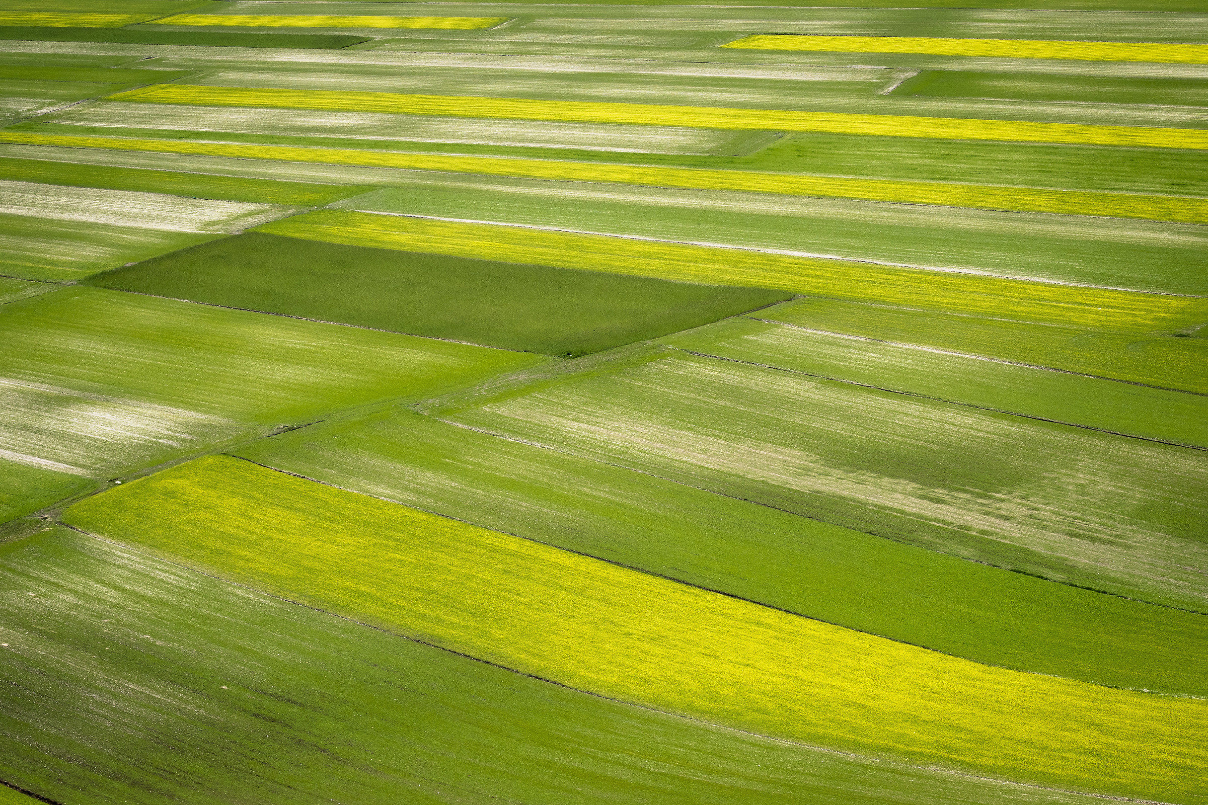 Geometrie, Castelluccio di Norcia