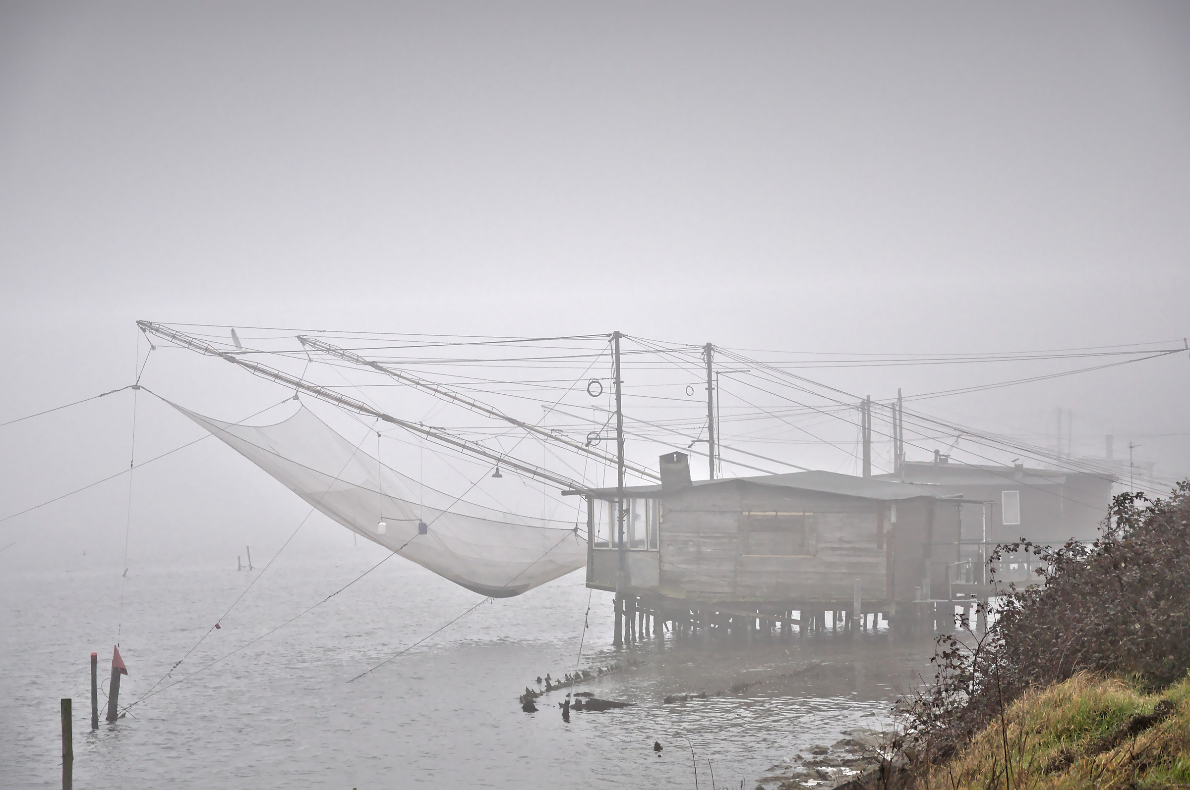 Comacchio 3 Febbraio 2017