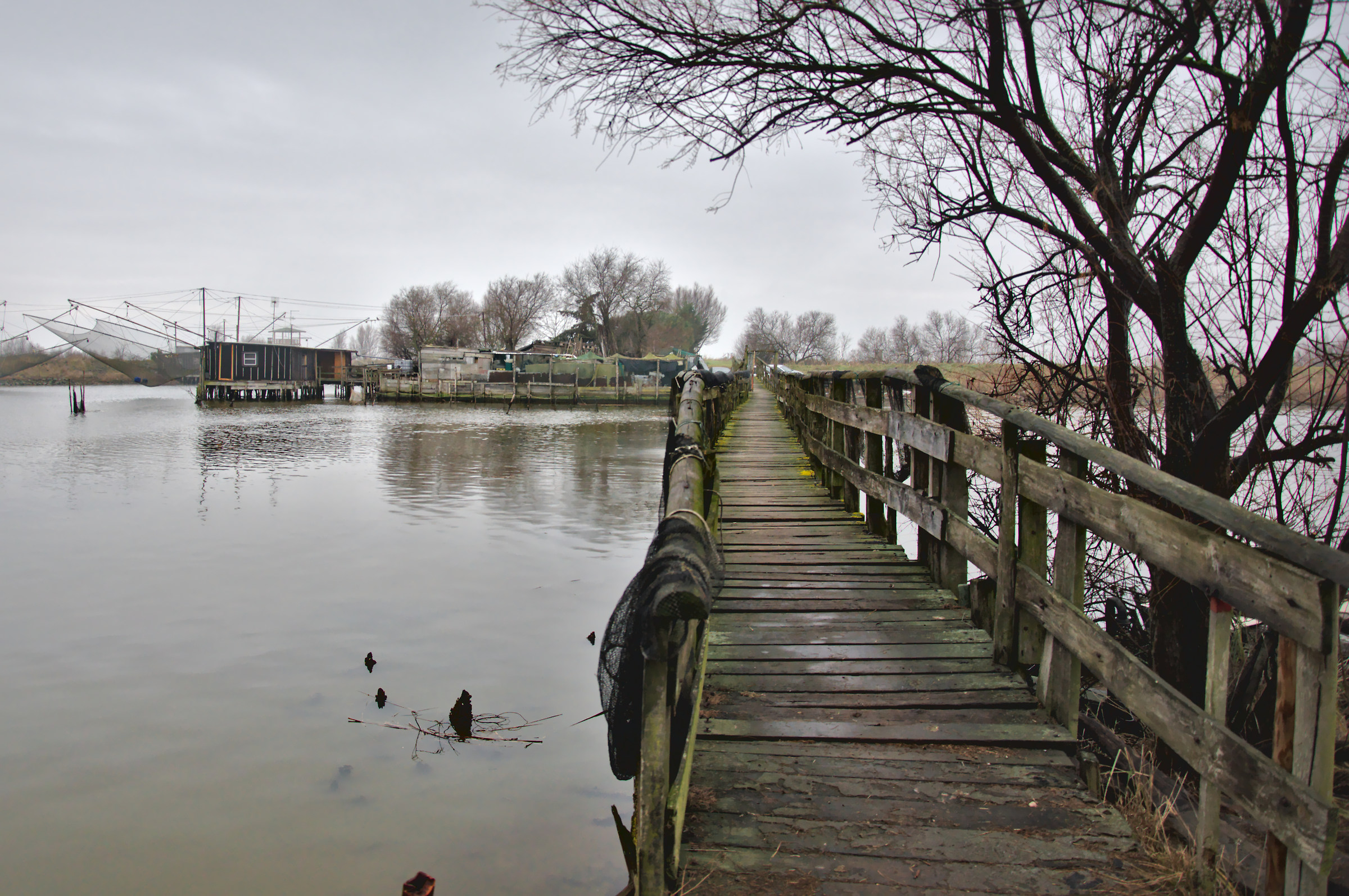 Comacchio 3 Febbraio 2017