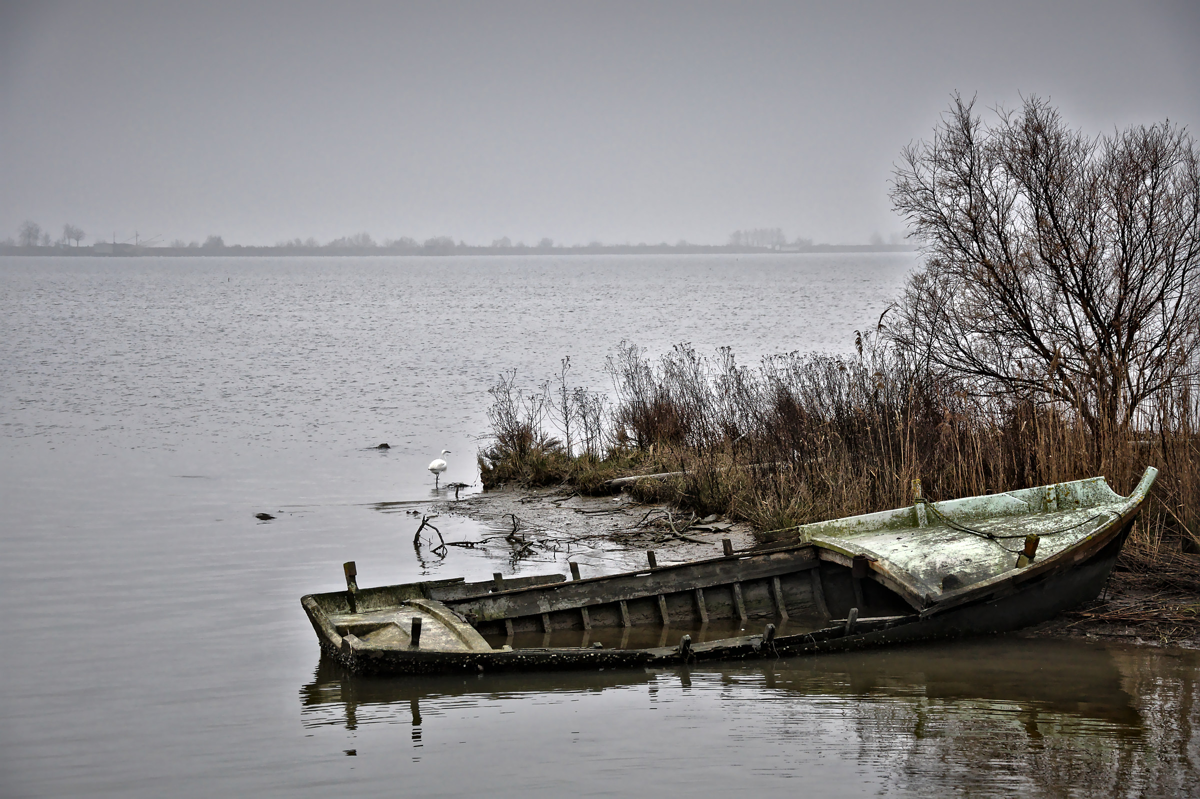 Comacchio 3 Febbraio 2017