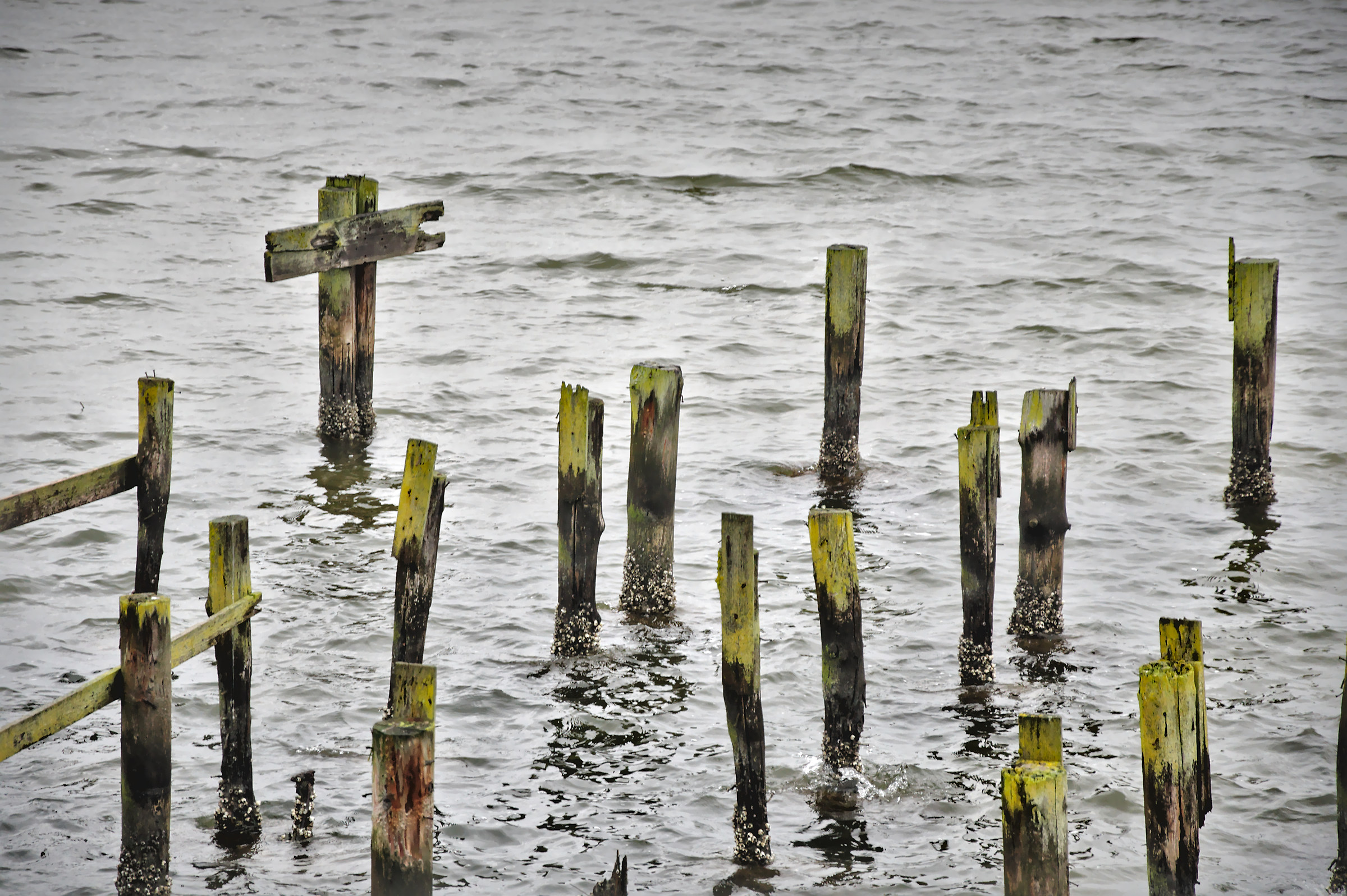 Comacchio 3 Febbraio 2017