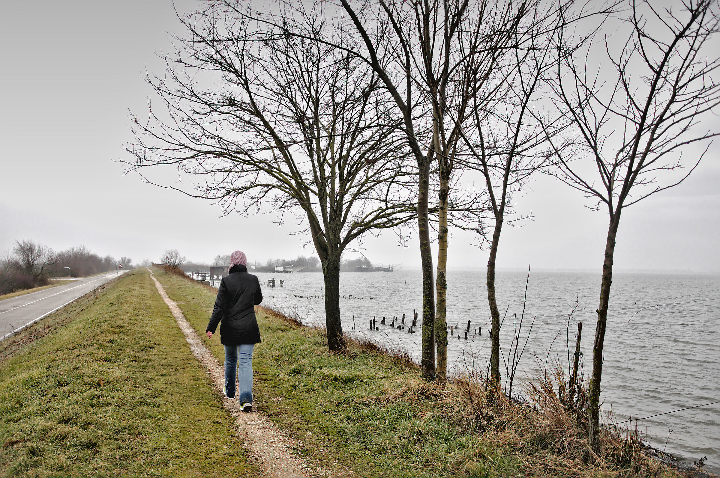 Comacchio 3 Febbraio 2017