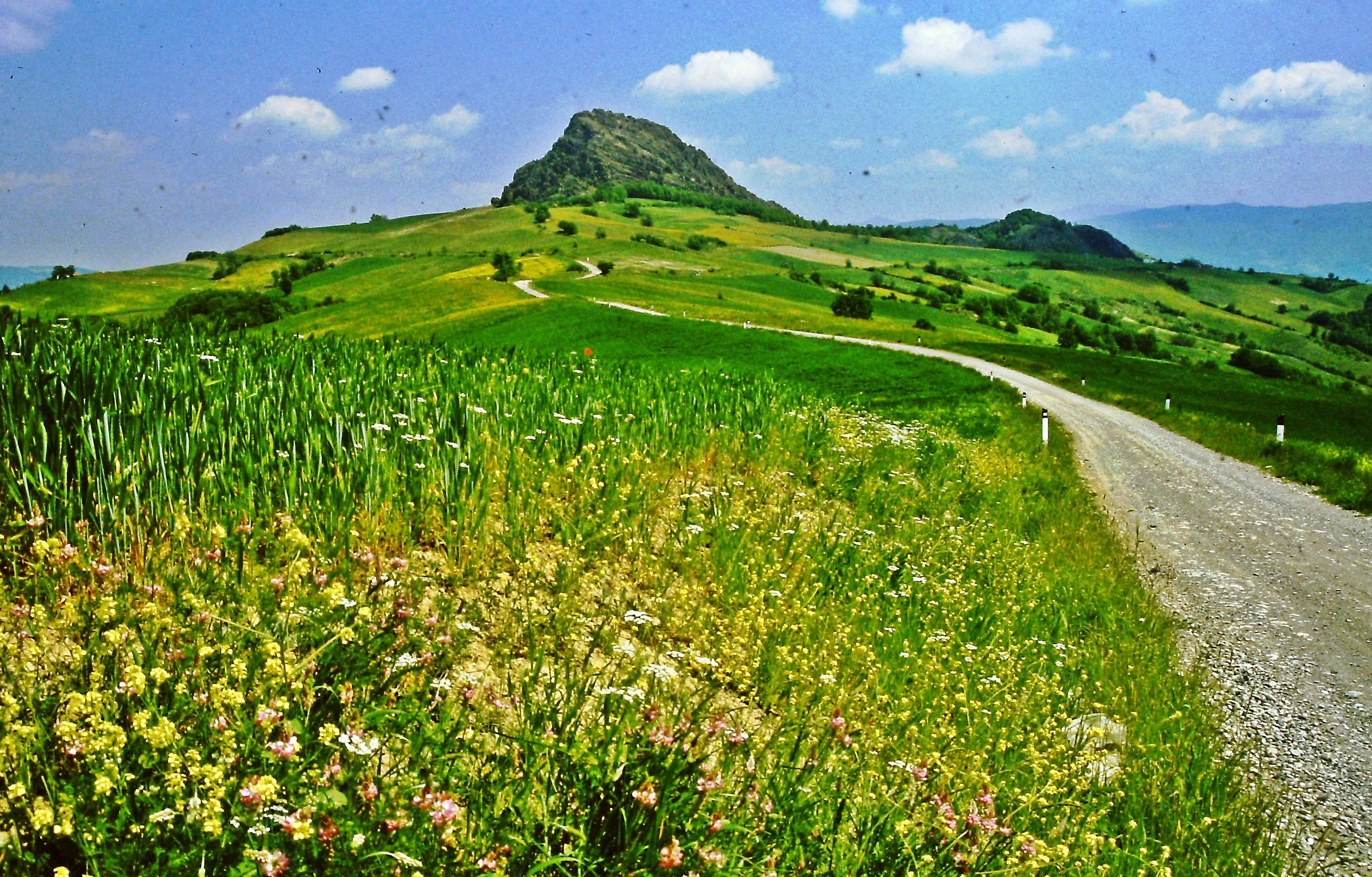 448 - verso la verruca - PC Valtrebbia