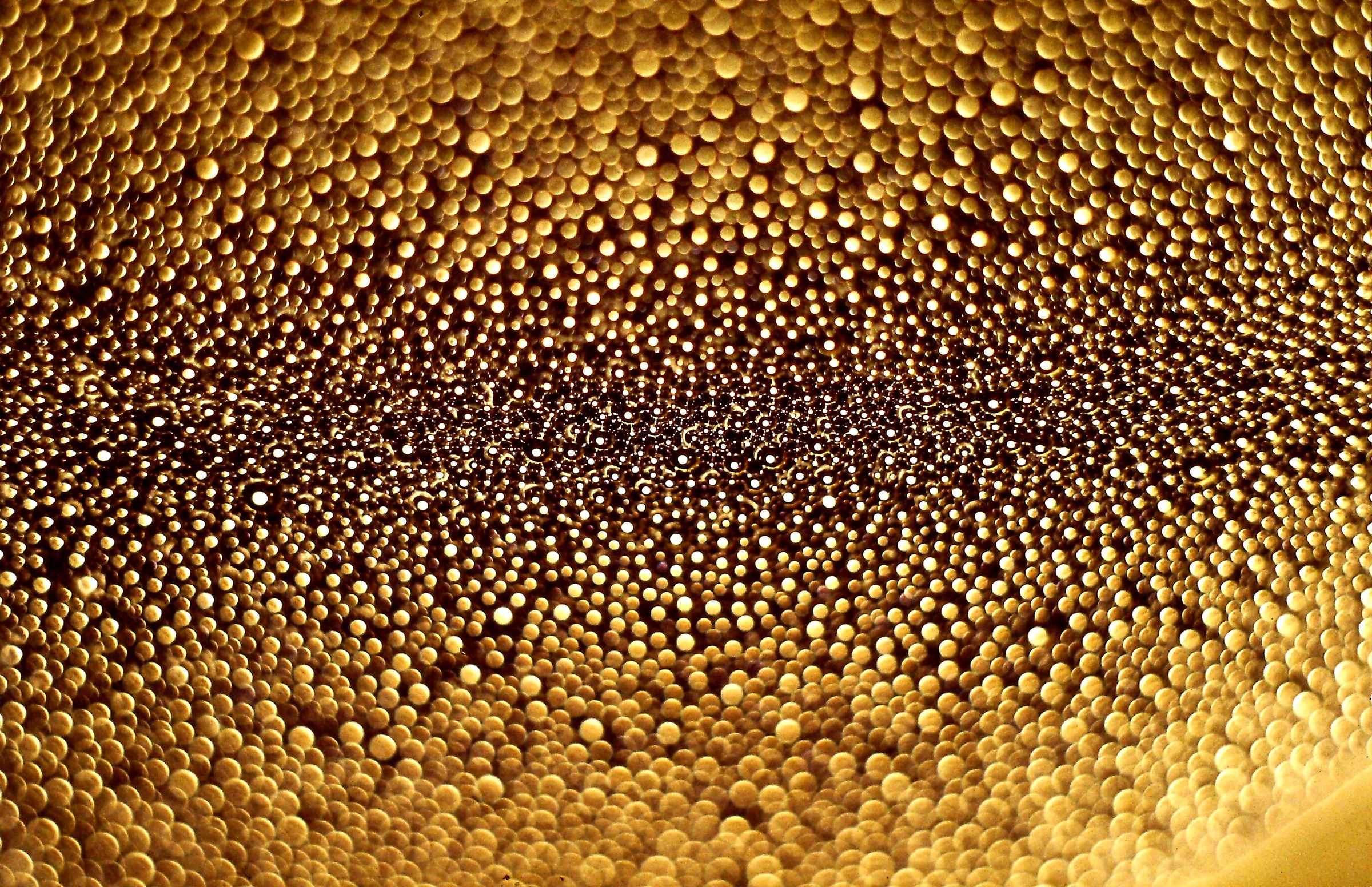 464 - the most precious of the puddles