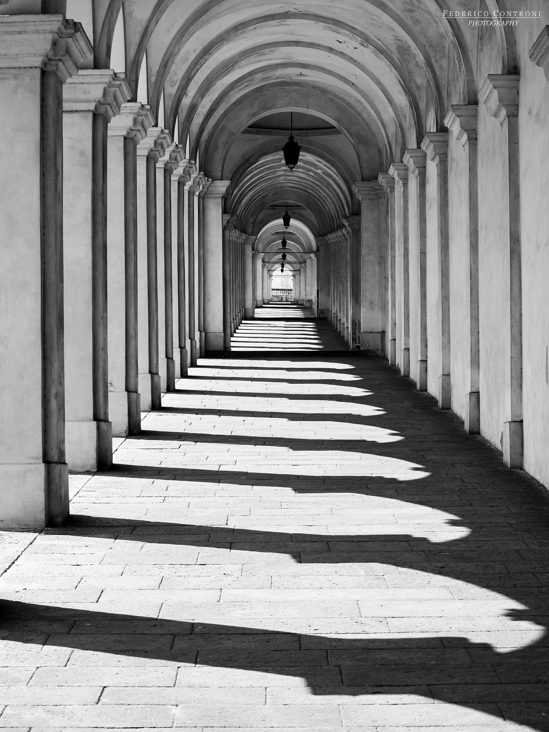 La bianca successione