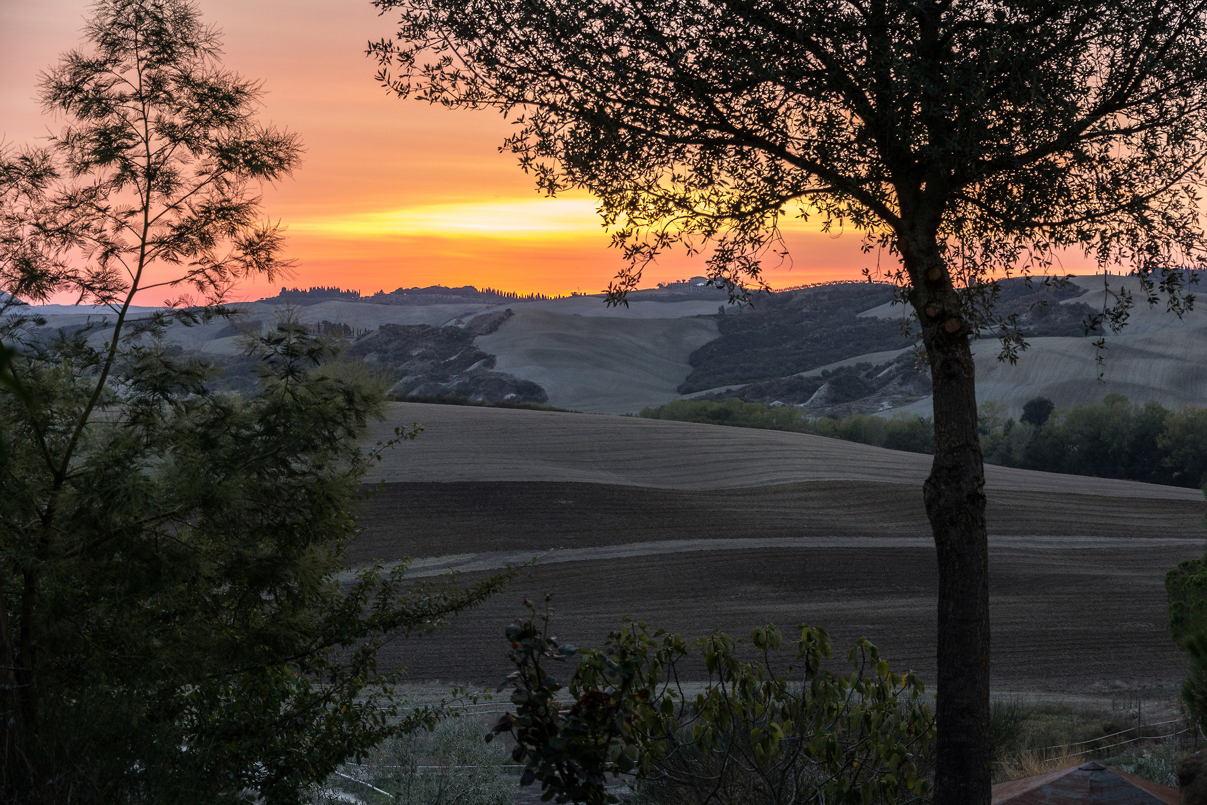 Sweet sunset in val d'orcia