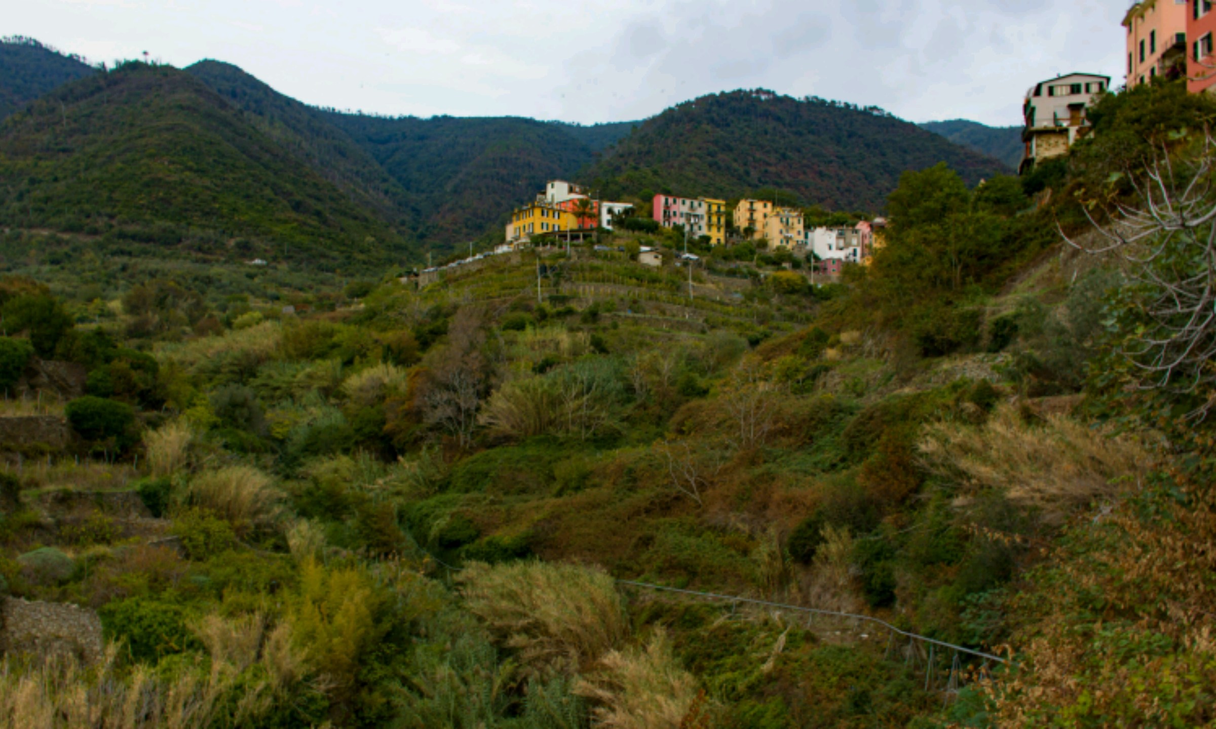 Autumn palette in Corniglia
