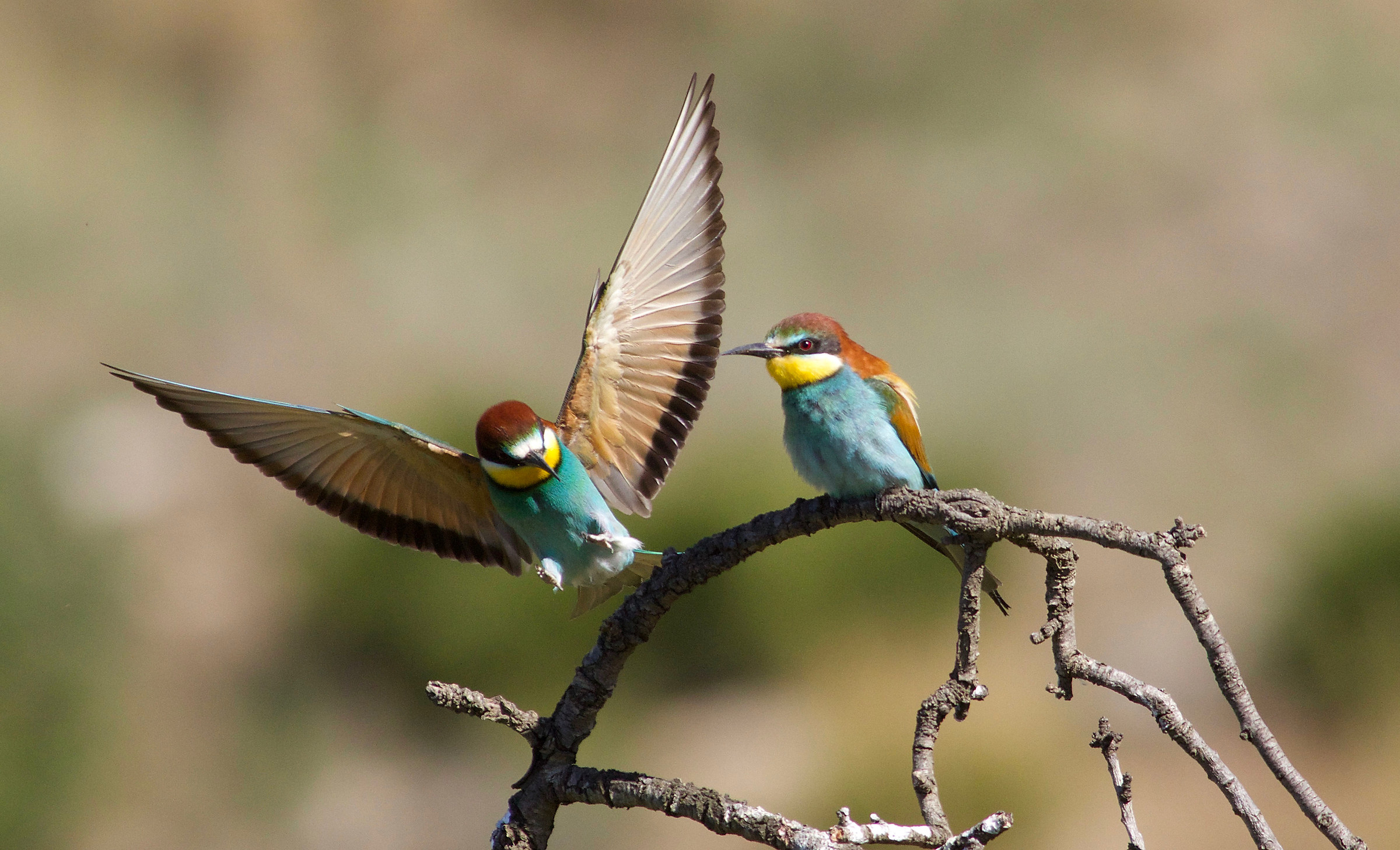 we lost ourselves in the middle of the frenzy