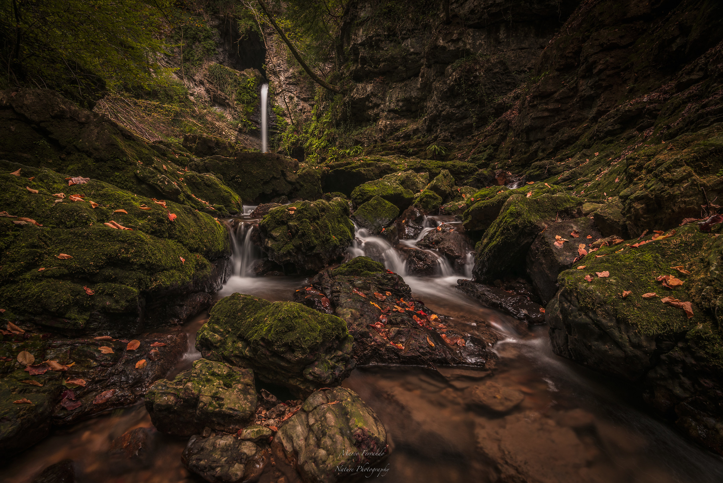 A hidden autumn corner
