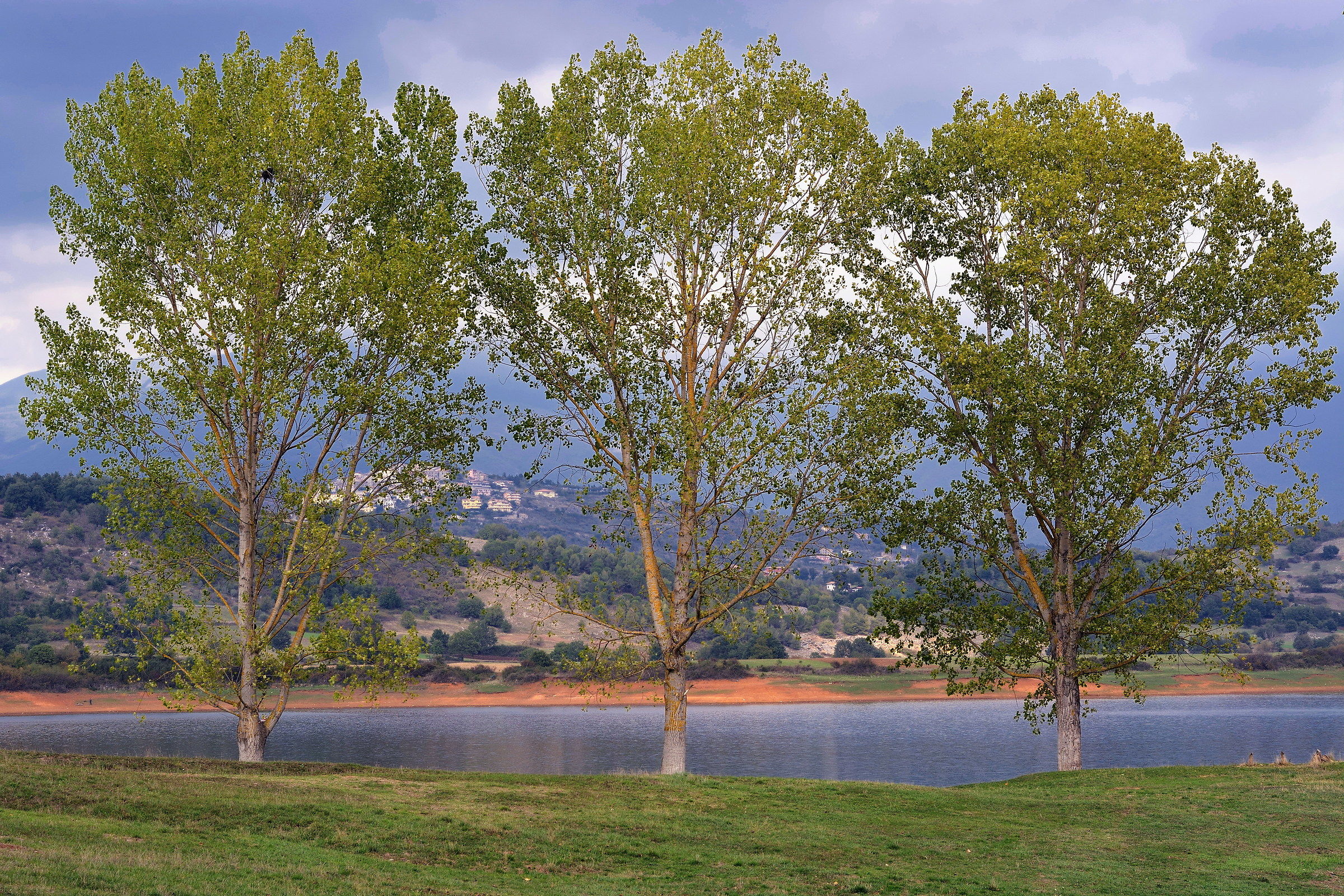 Giganti della natura